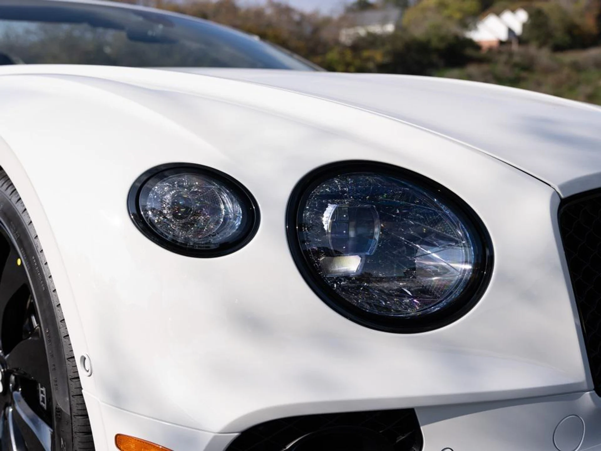 mph016_2661191833_478617943_692fc9c106717eb16b65ecbb_d9281e238e