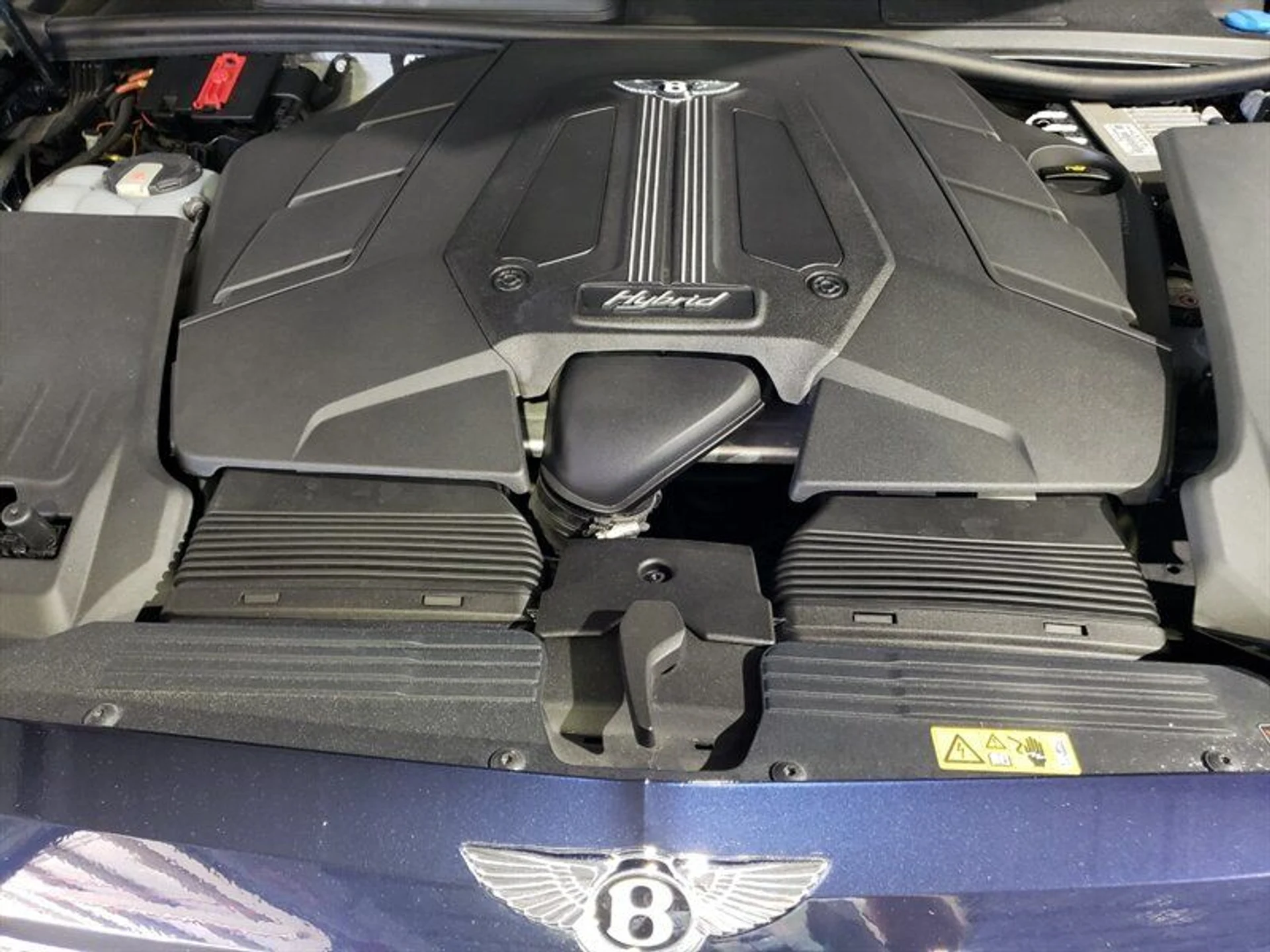 mph016_2726432429_2031b4609e_800_1a37d6eba8