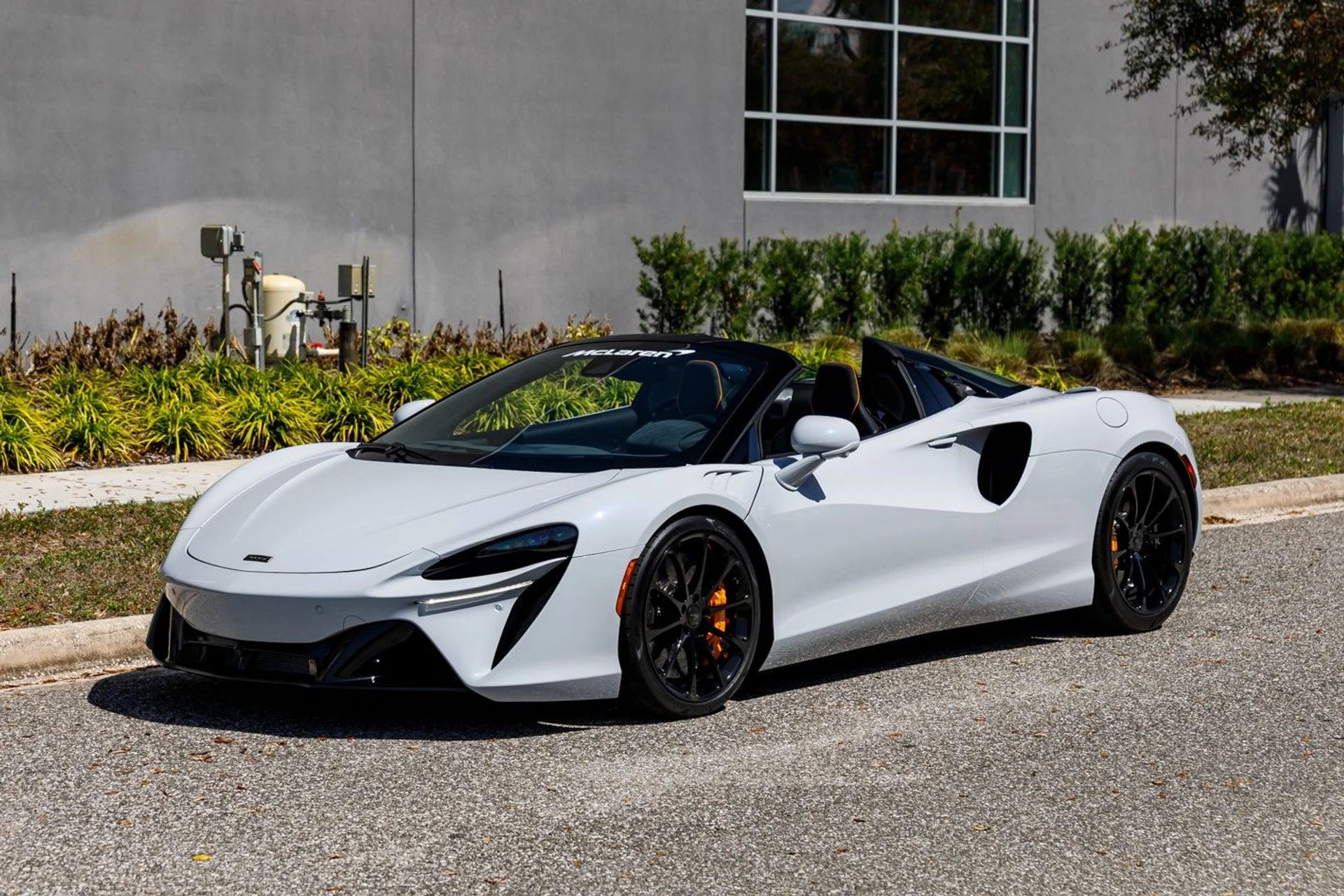 mph016_2810083903_473_p17_l_5bcef3fe4b