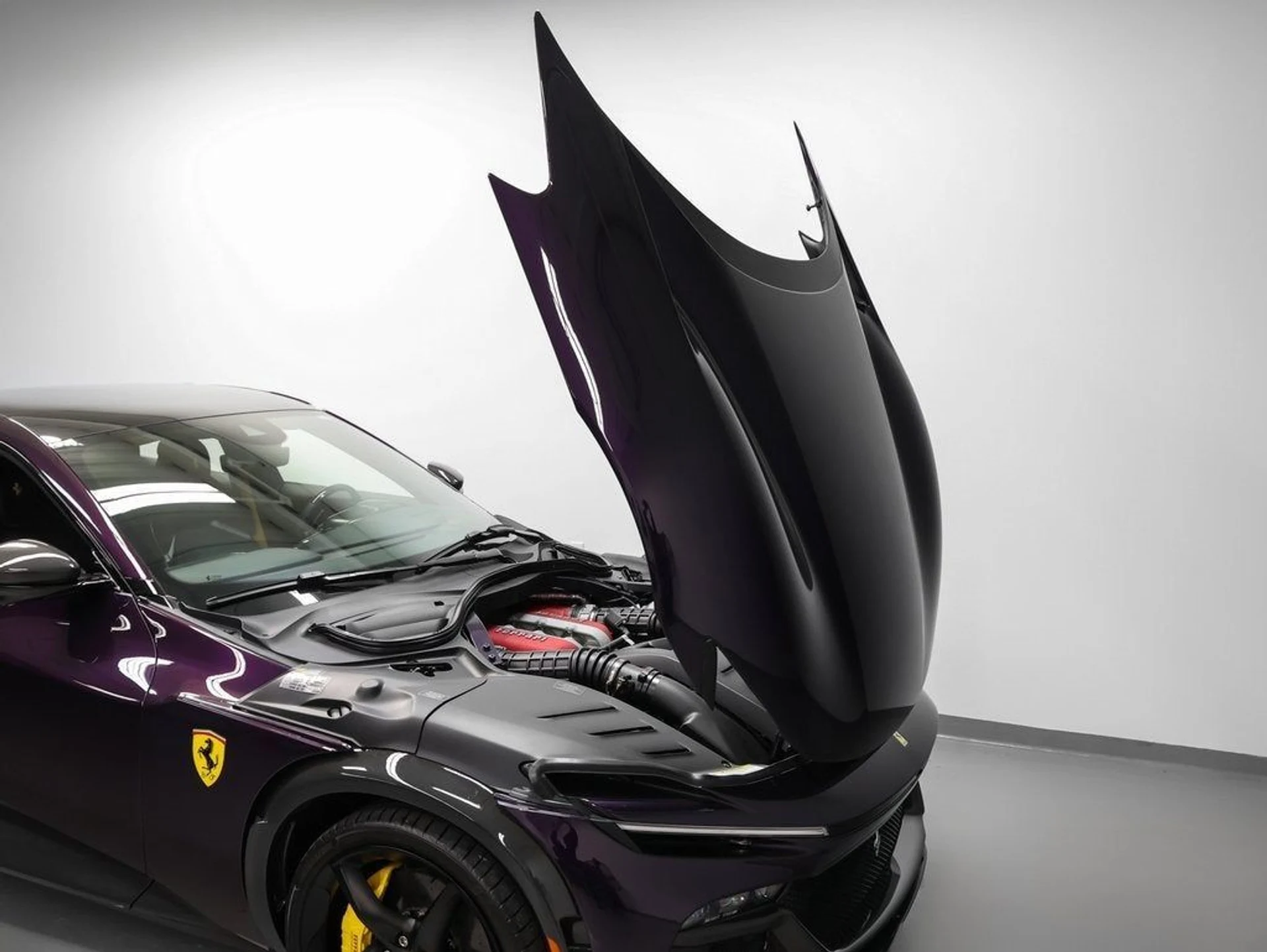 mph016_2810343333_17_20493bde85