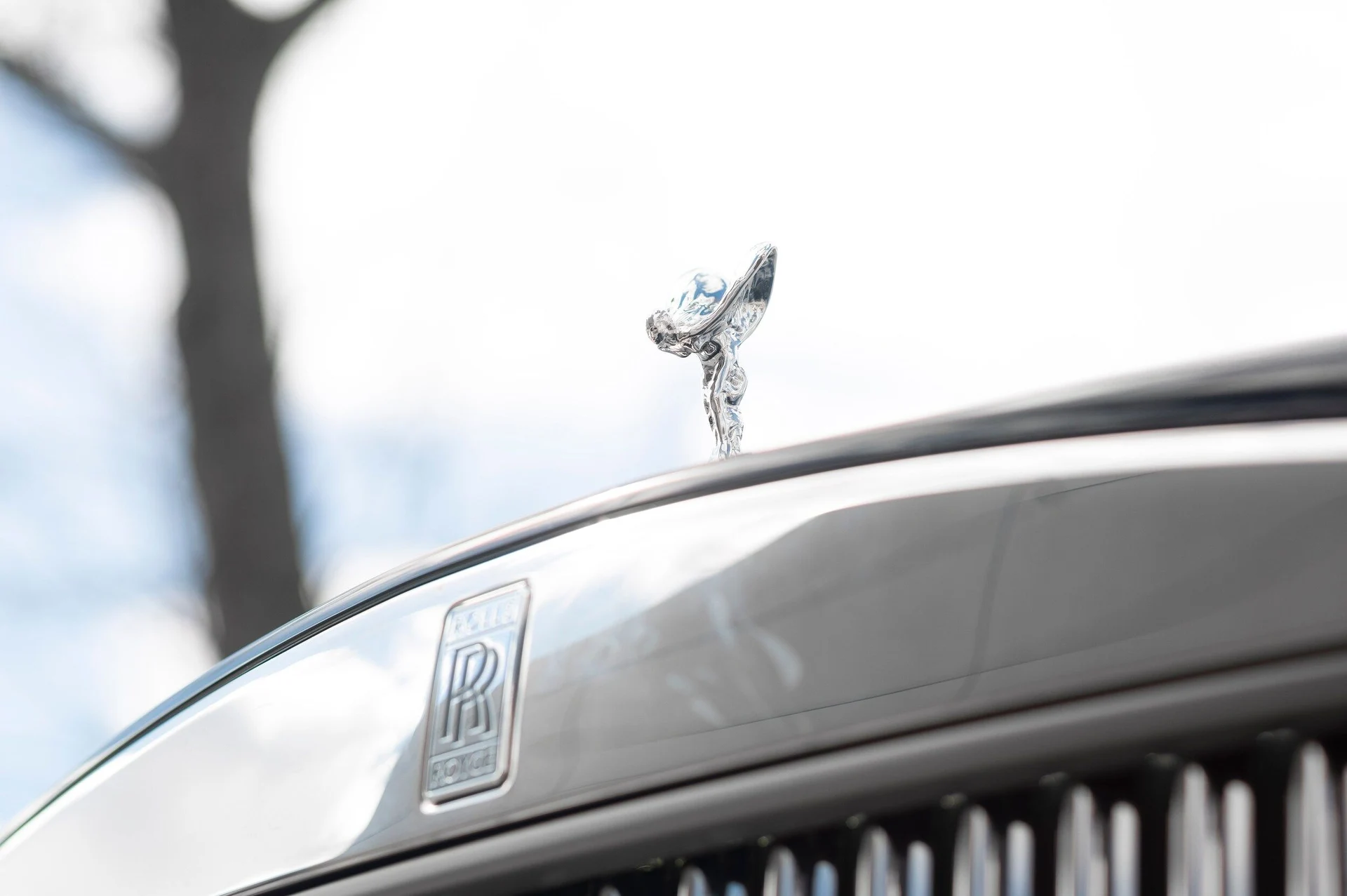 mph016_3060830872_9a9c6c59d5f7438a841ab7e8fd599cb3_c7f6be22d4