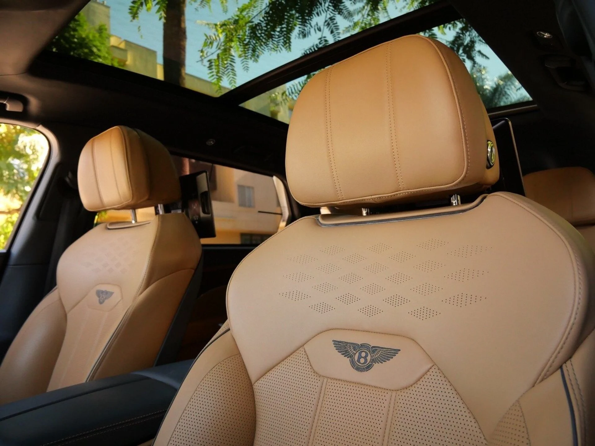 mph016_3147935041_c3bf654ac6c5dd610b82077526d12ef6x_40ecaae4af