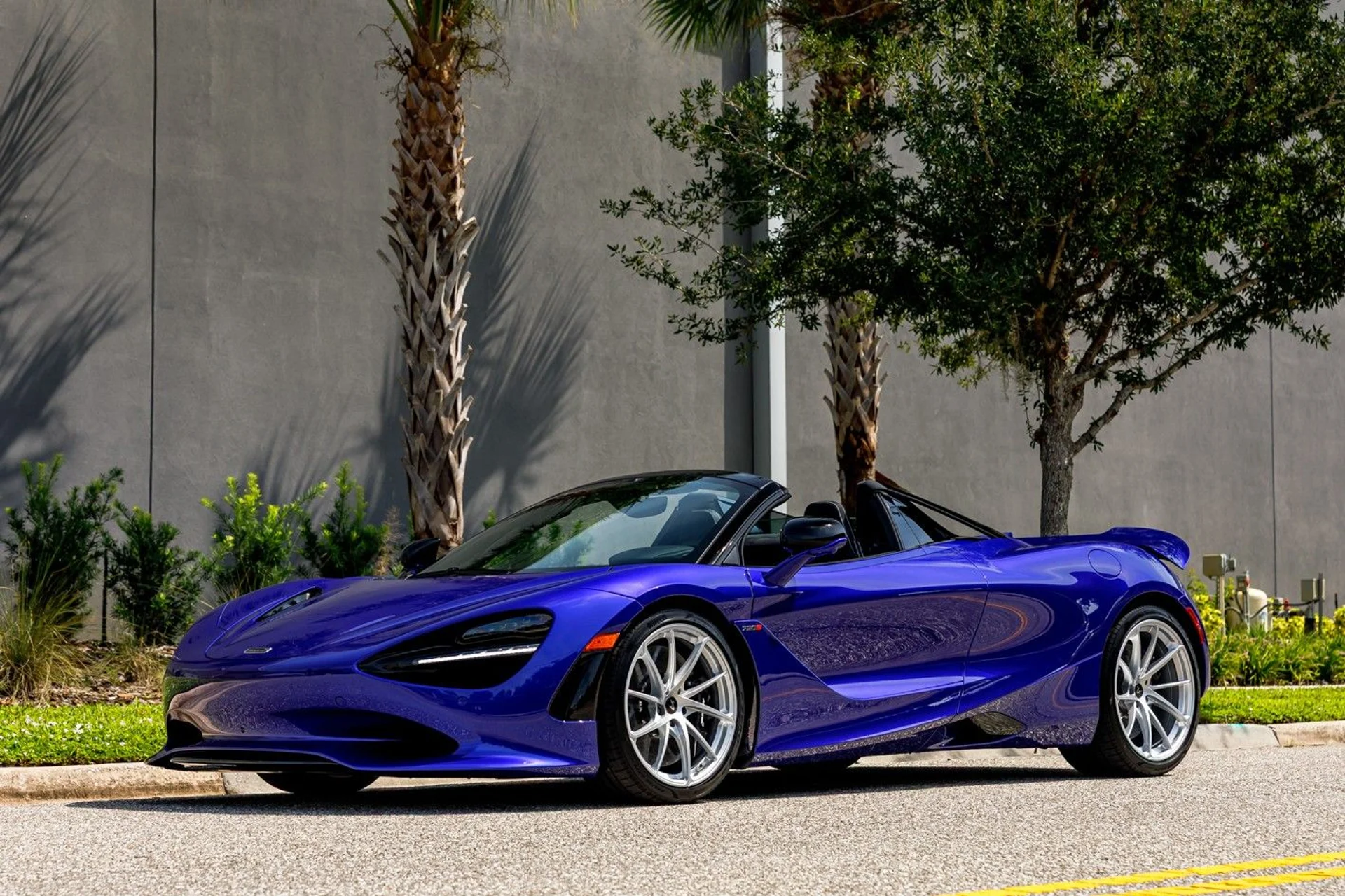 mph016_3153480655_590_p17_l_71669f5012