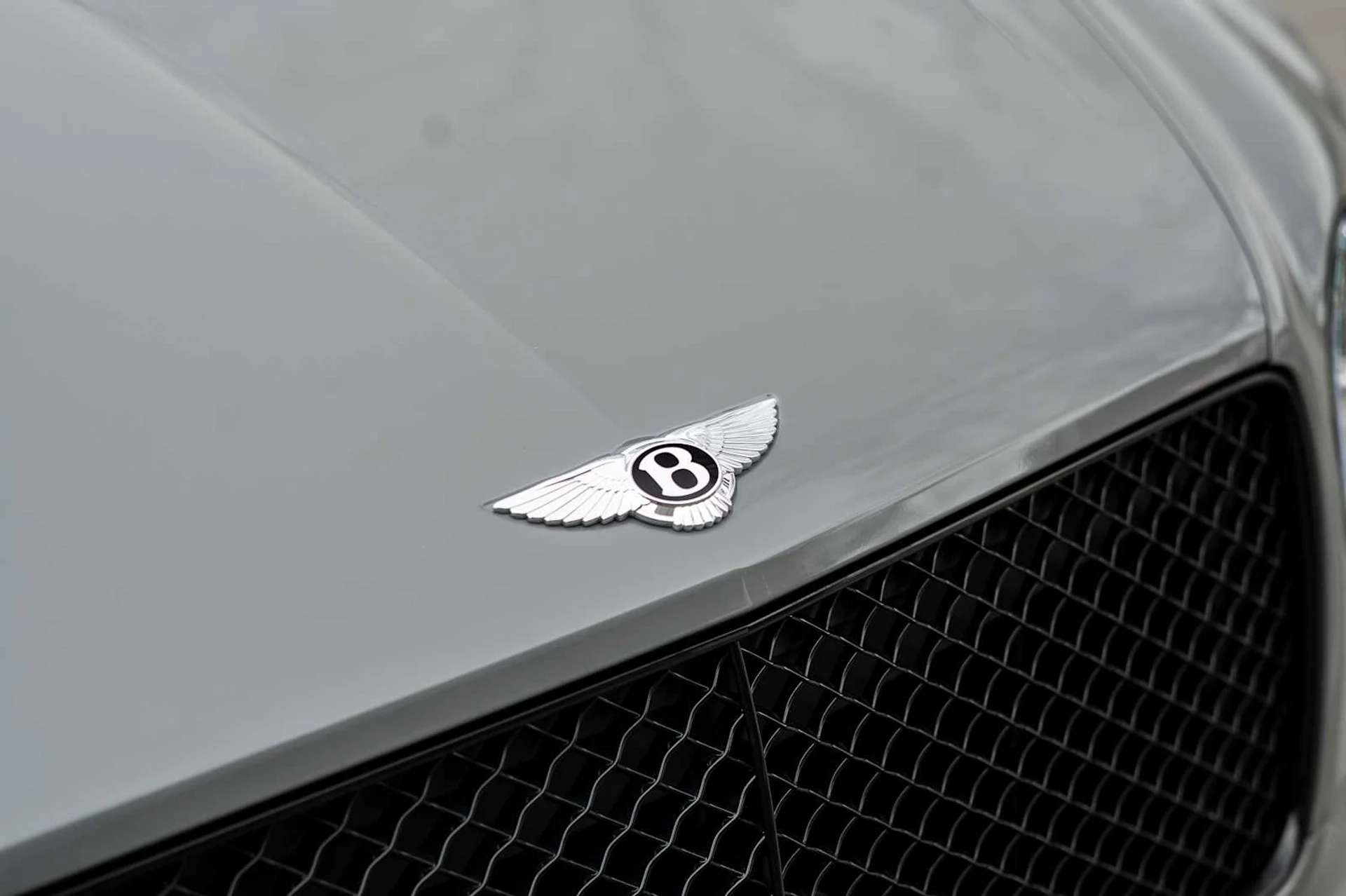 mph016_3275184415_488498593e538dfbeda9985eeafc0e0ax_29e8bd6683