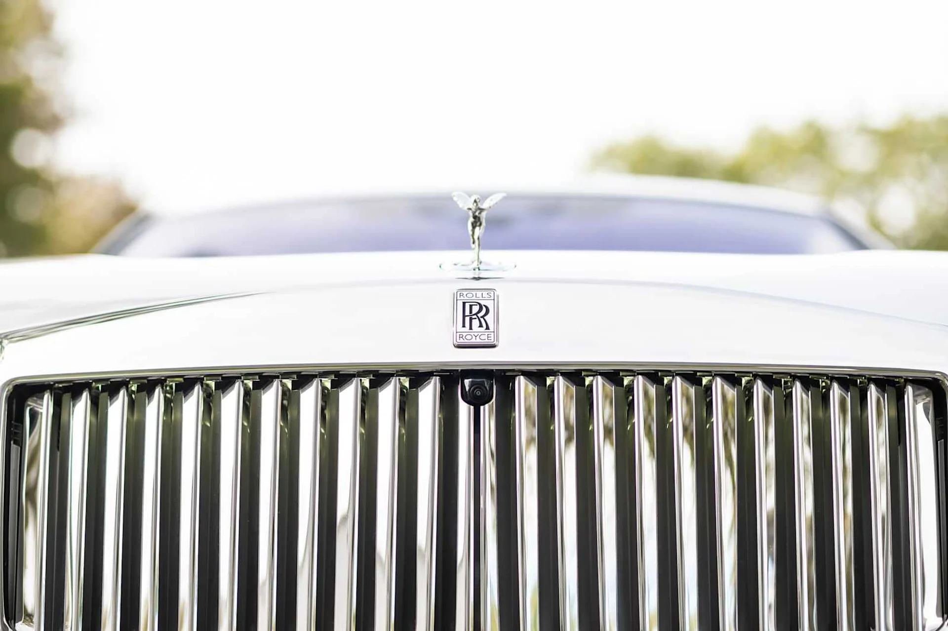 mph016_3286390735_a13e15e67f3d2f24495da252bd052bd9x_d23ad2016c