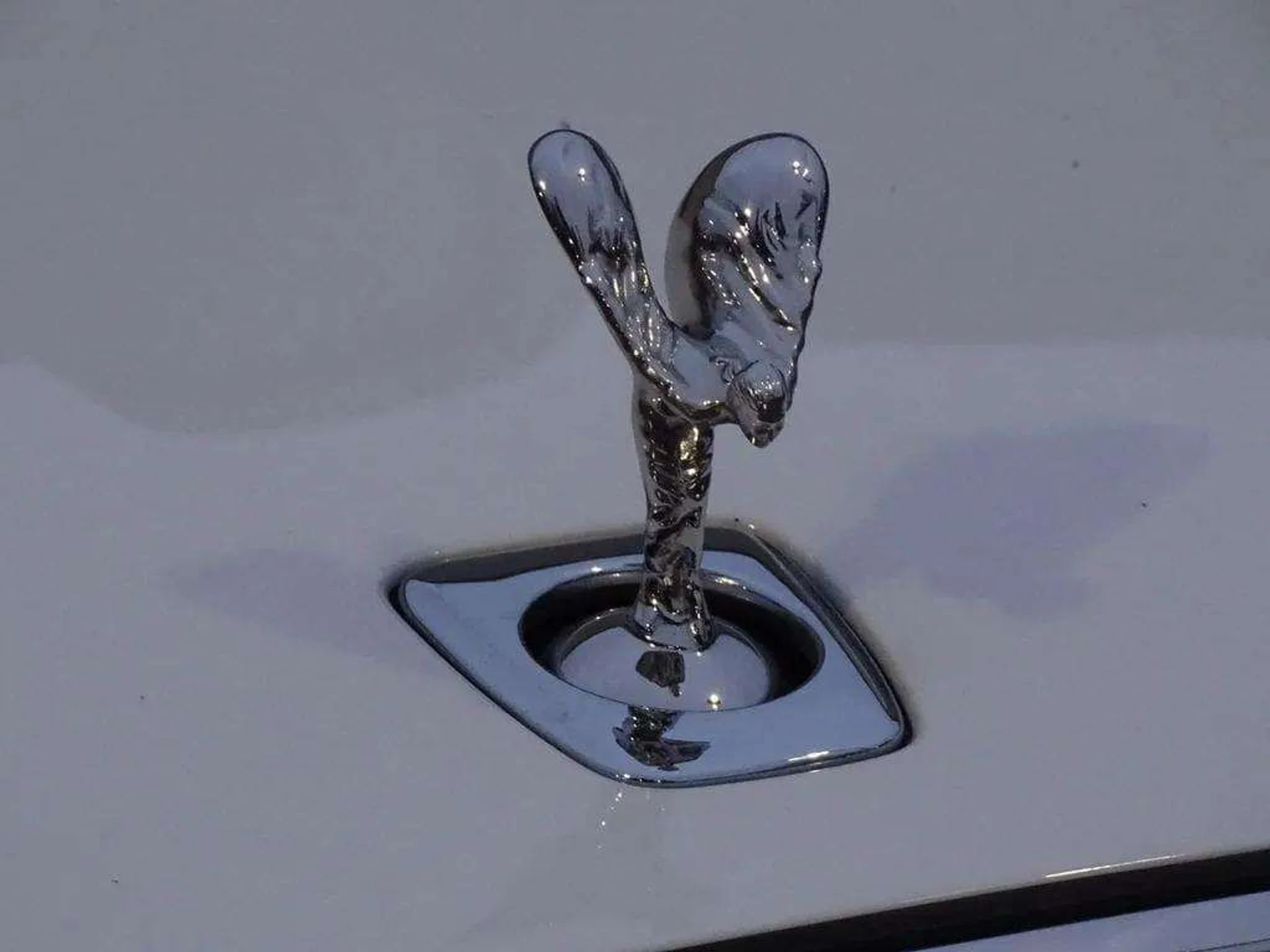 mph016_3344260137_mgd2zcv3mzfrsauo7fk66q5jt7cr_fe2b808b29