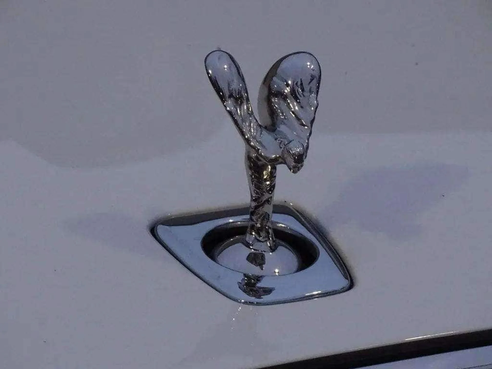 mph016_334539016_8dde406b852eda4fc983d8832d064647x_ee090bf88e