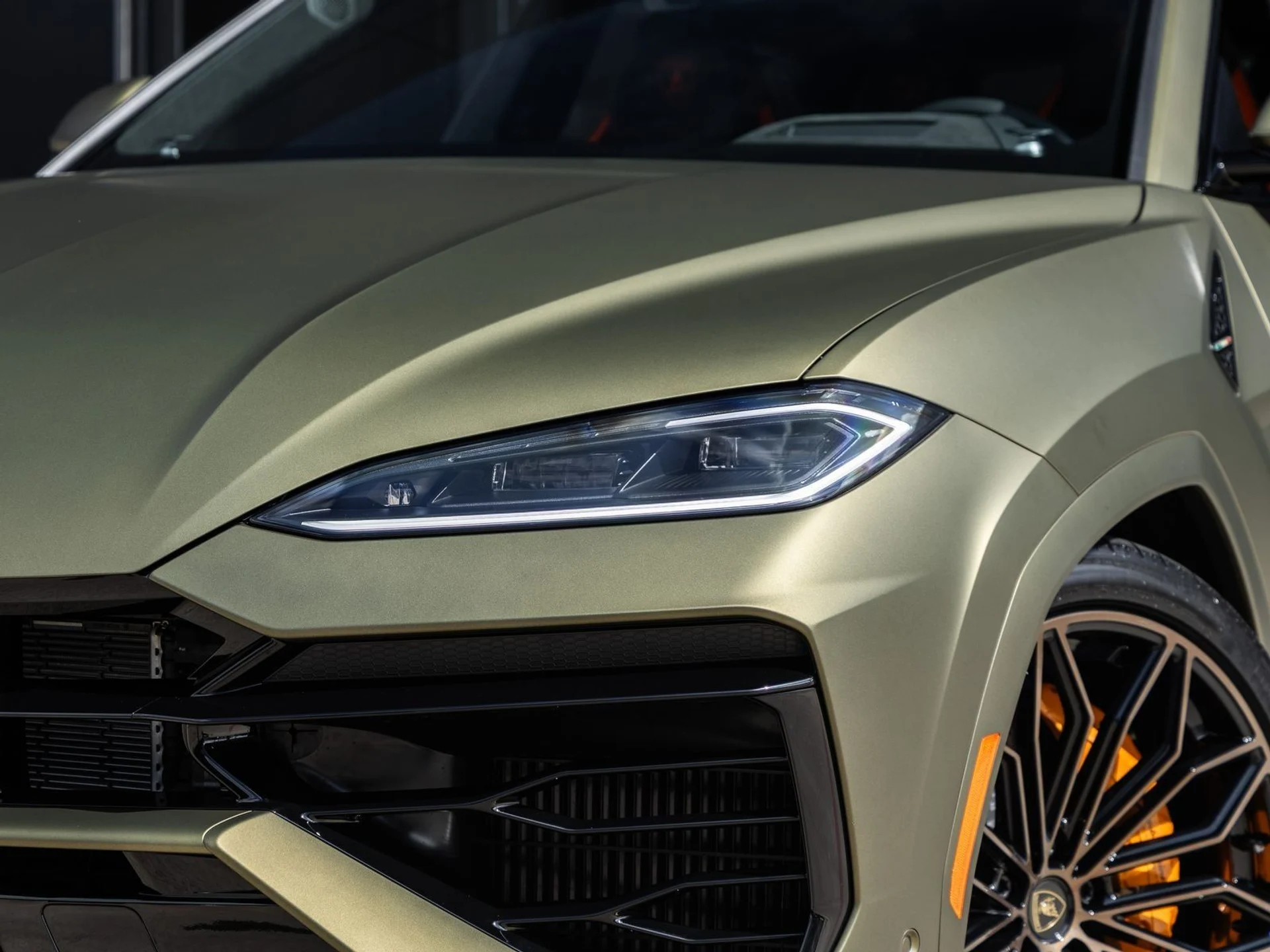 mph016_3384766378_17_3138856932