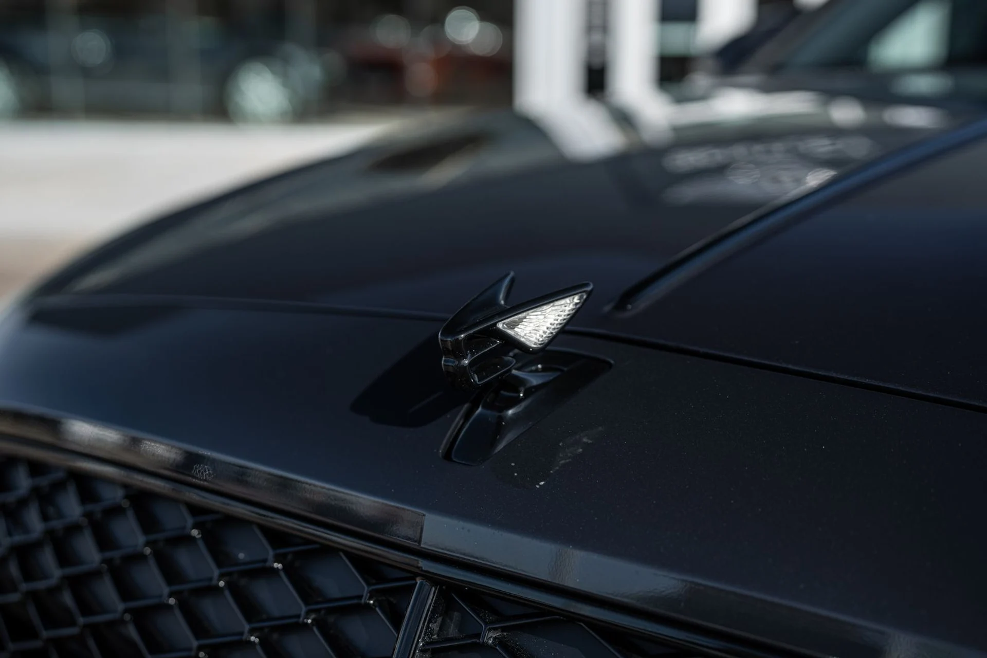 mph016_3438166253_ae5b90b7_94ca_42ce_a1d3_c5766444ae49_8984b61818