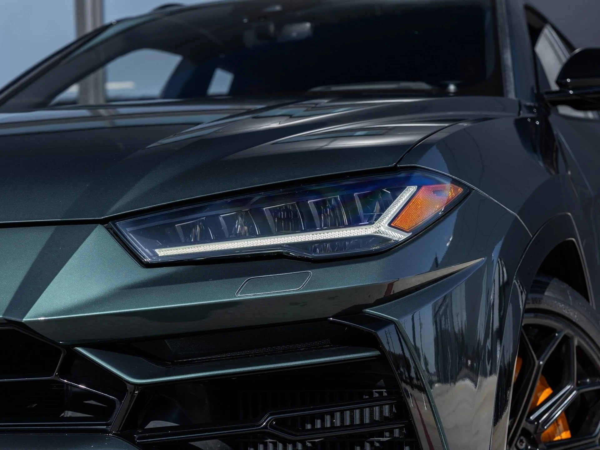 mph016_3450619615_17_a2a57c2b5d