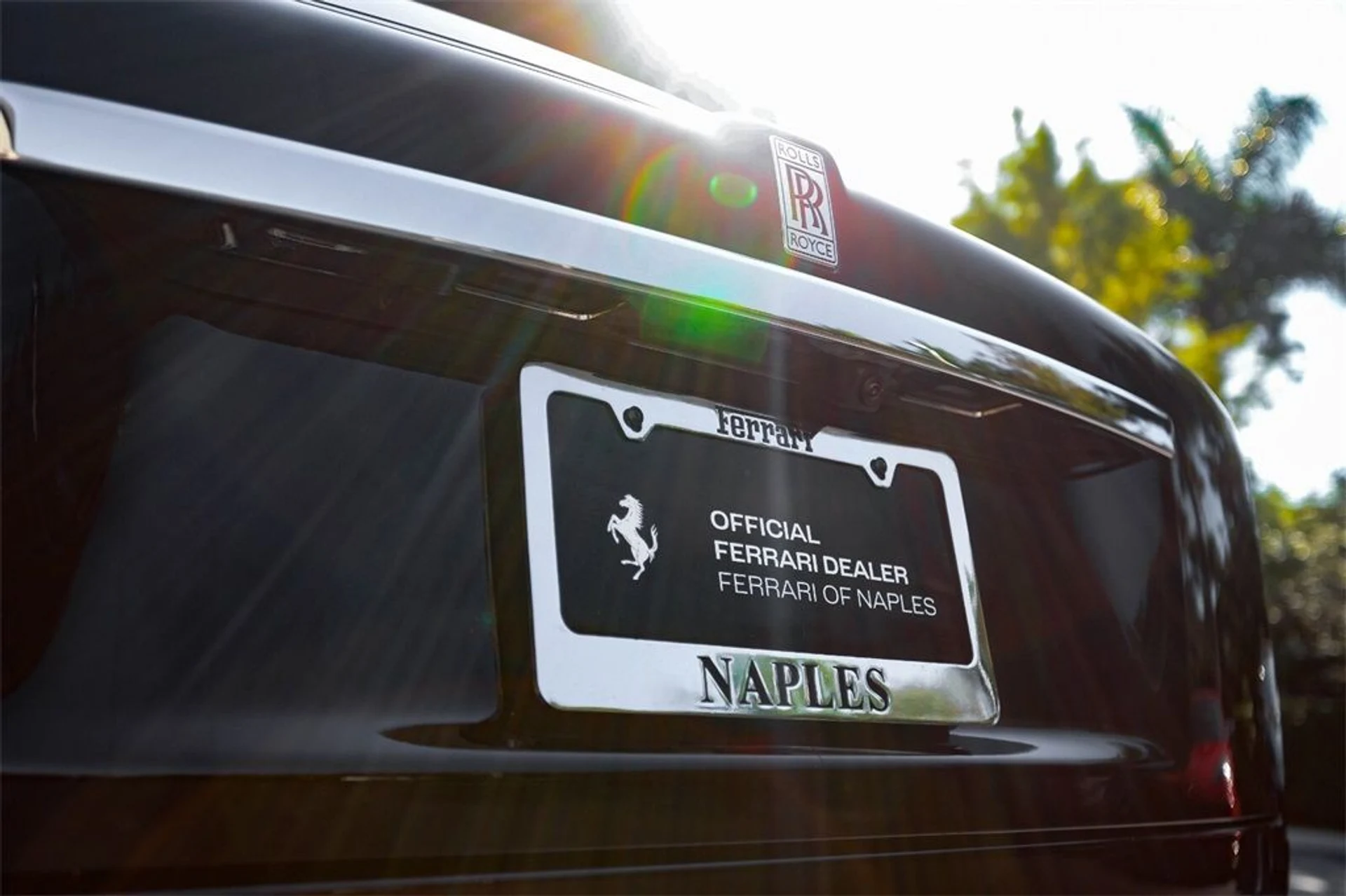 mph016_3490687611_378646863a69b2cf5f7009fe49a90253_dd35fe94ce