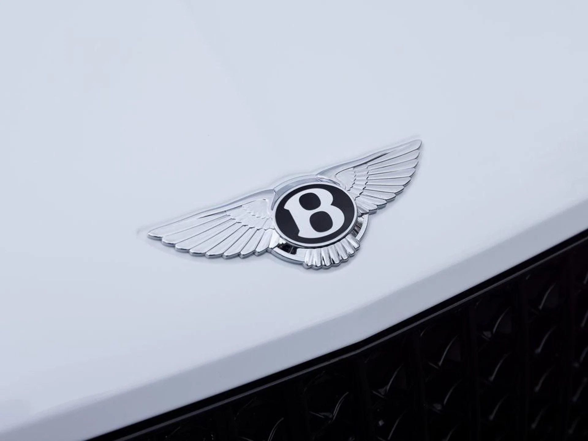 mph016_3514494908_403809831_67c233e26b5617b02de63636_78c5784950