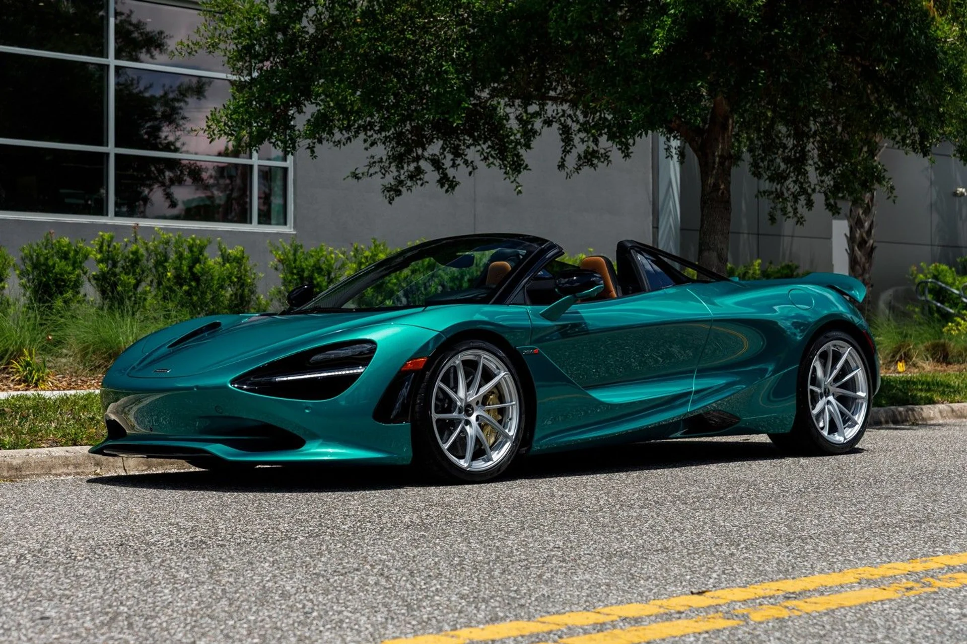 mph016_3549753816_678_p17_l_930a75f626