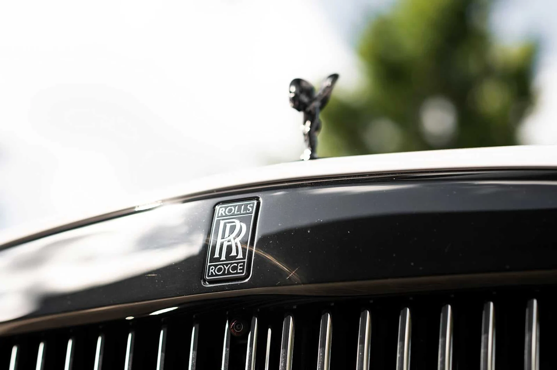 mph016_3551442059_2430068fcdadad80881819300f8c12f9x_18c7ee0d59