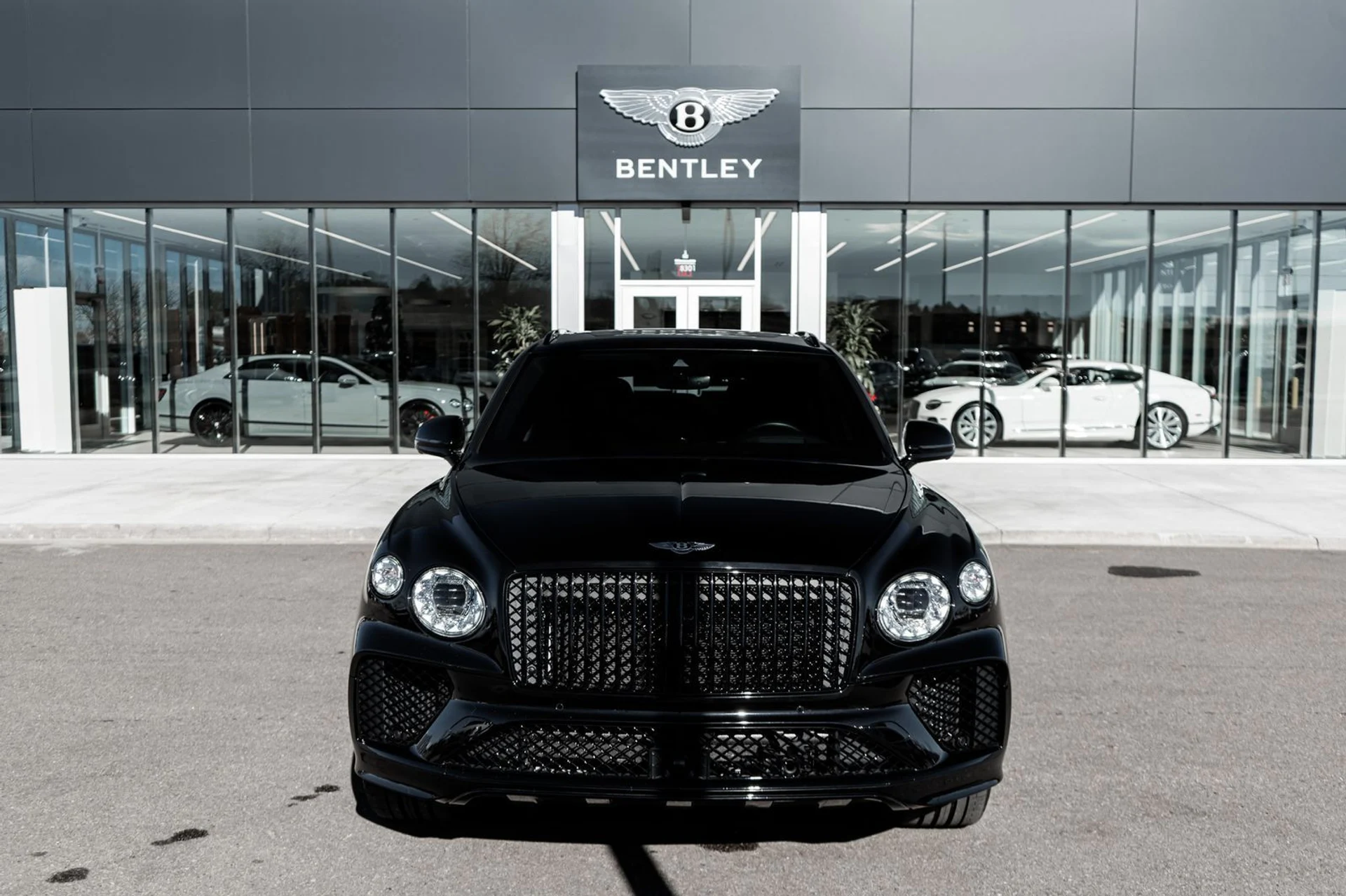 mph016_3556399995_0db10c8b_482b_44f5_9b89_a27a9eff6c2c_ecd54f4e2a