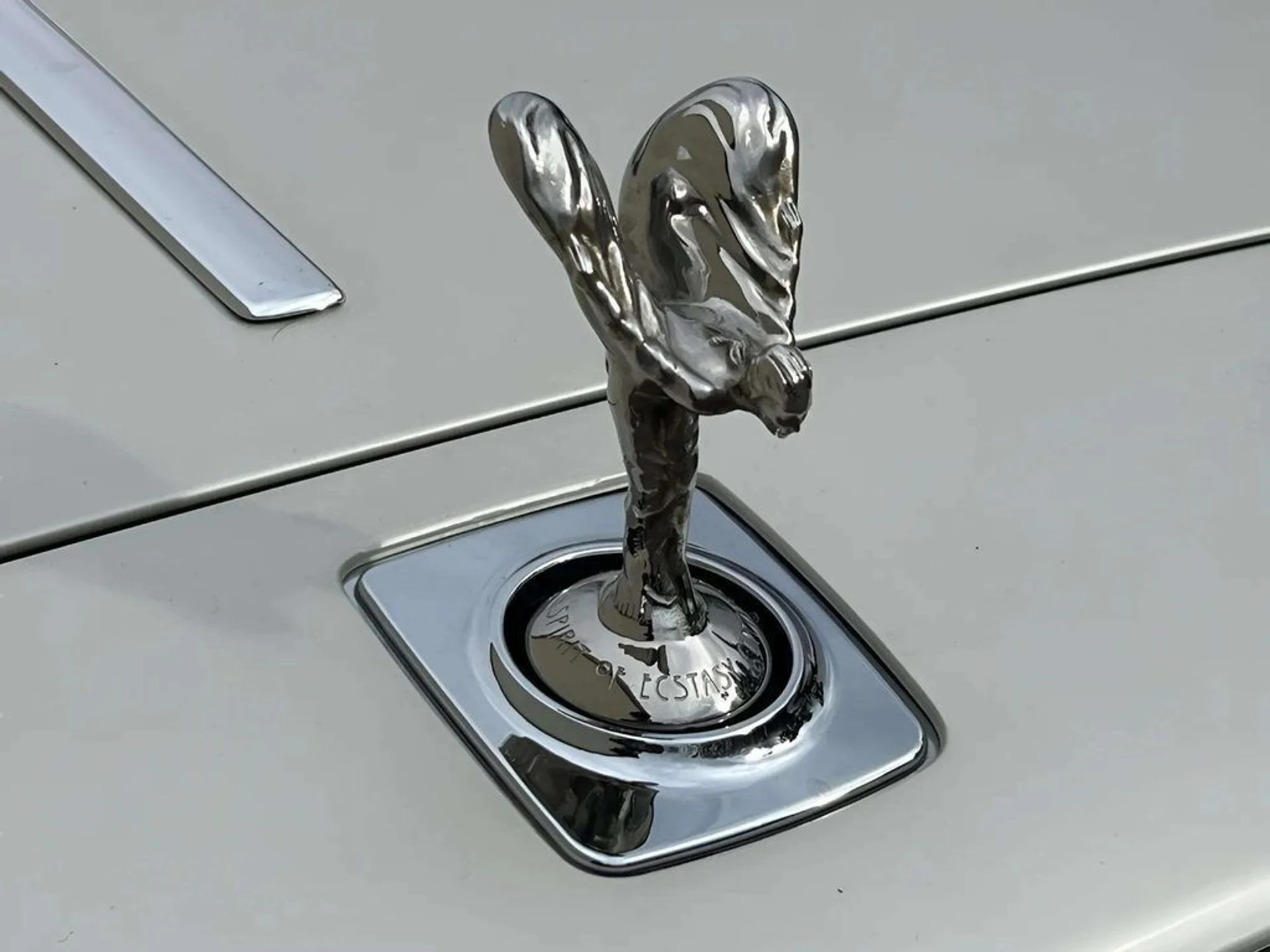 mph016_3584954366_uxlgilpvjpwbhb9laz85kbh3vo79_5917222d61