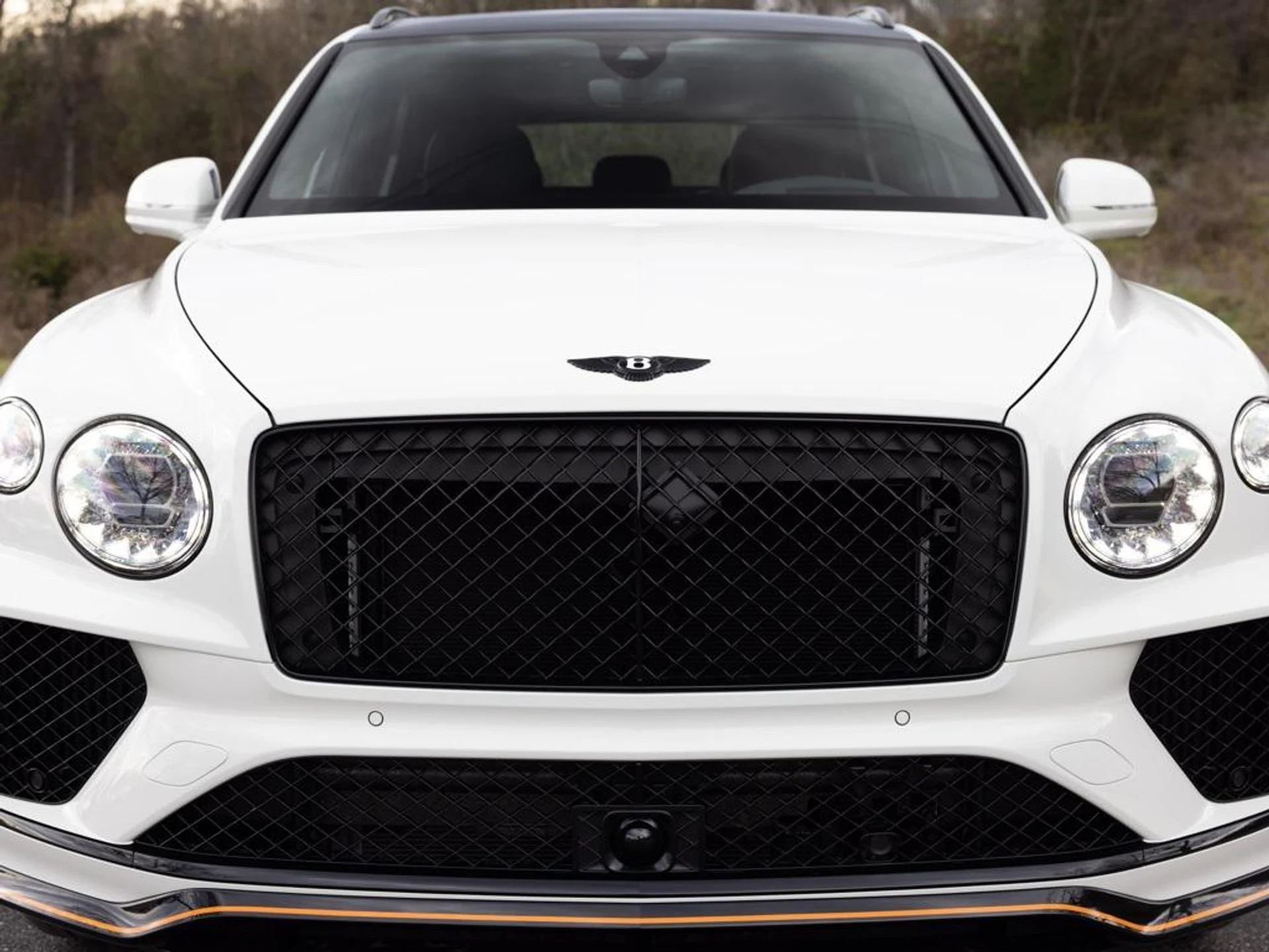 mph016_3629191905_480417655_69442333815a036f0aabfc13_0fffd2c95a