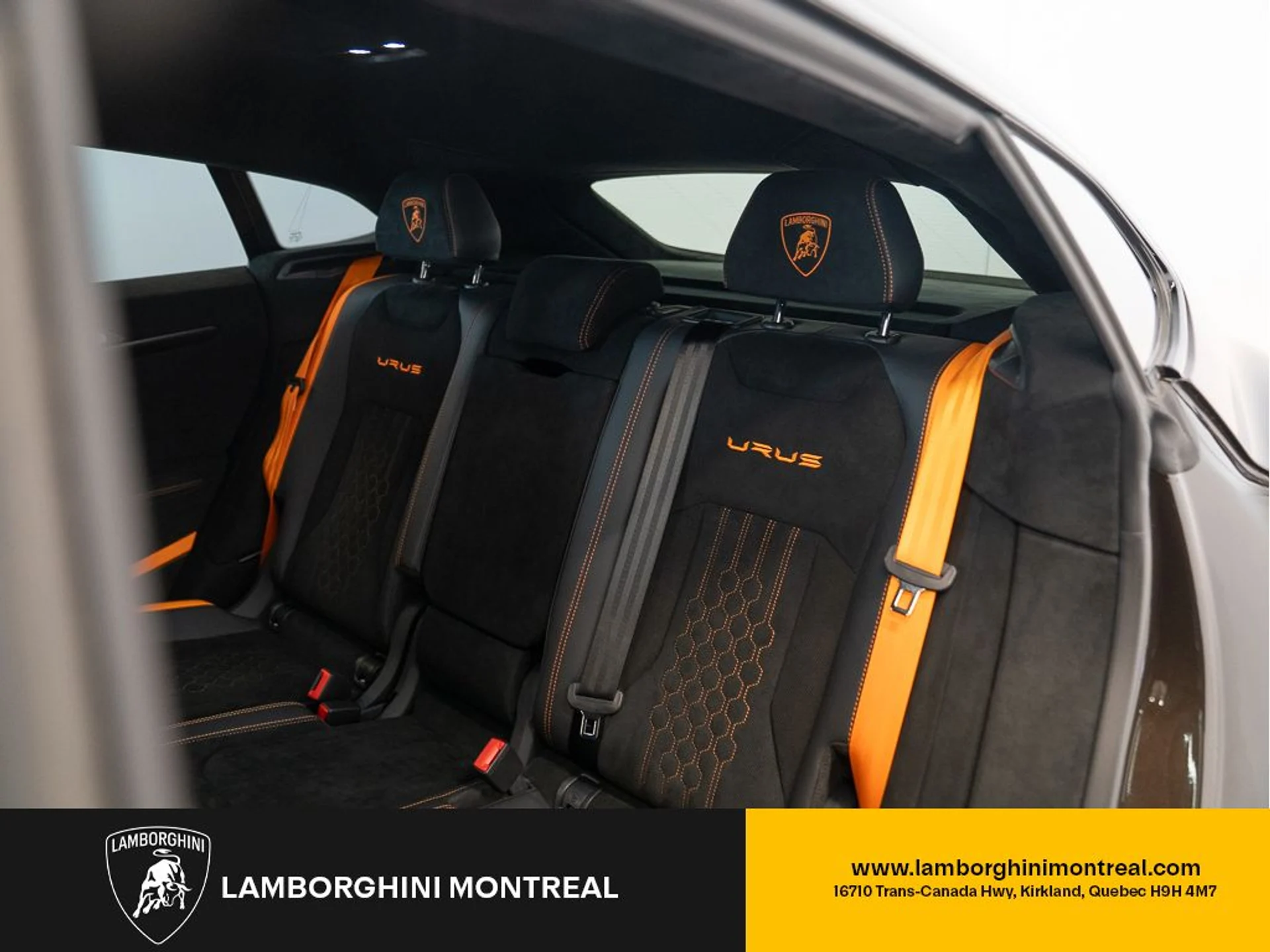 mph016_3630609893_jpg_v_1772496892_ff96064ec3