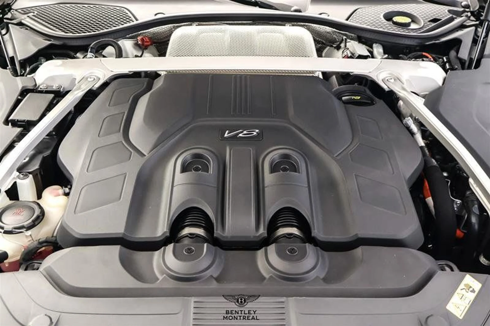 mph016_363670847_38026591_08704_11489628_1616640271_67cb65ed95