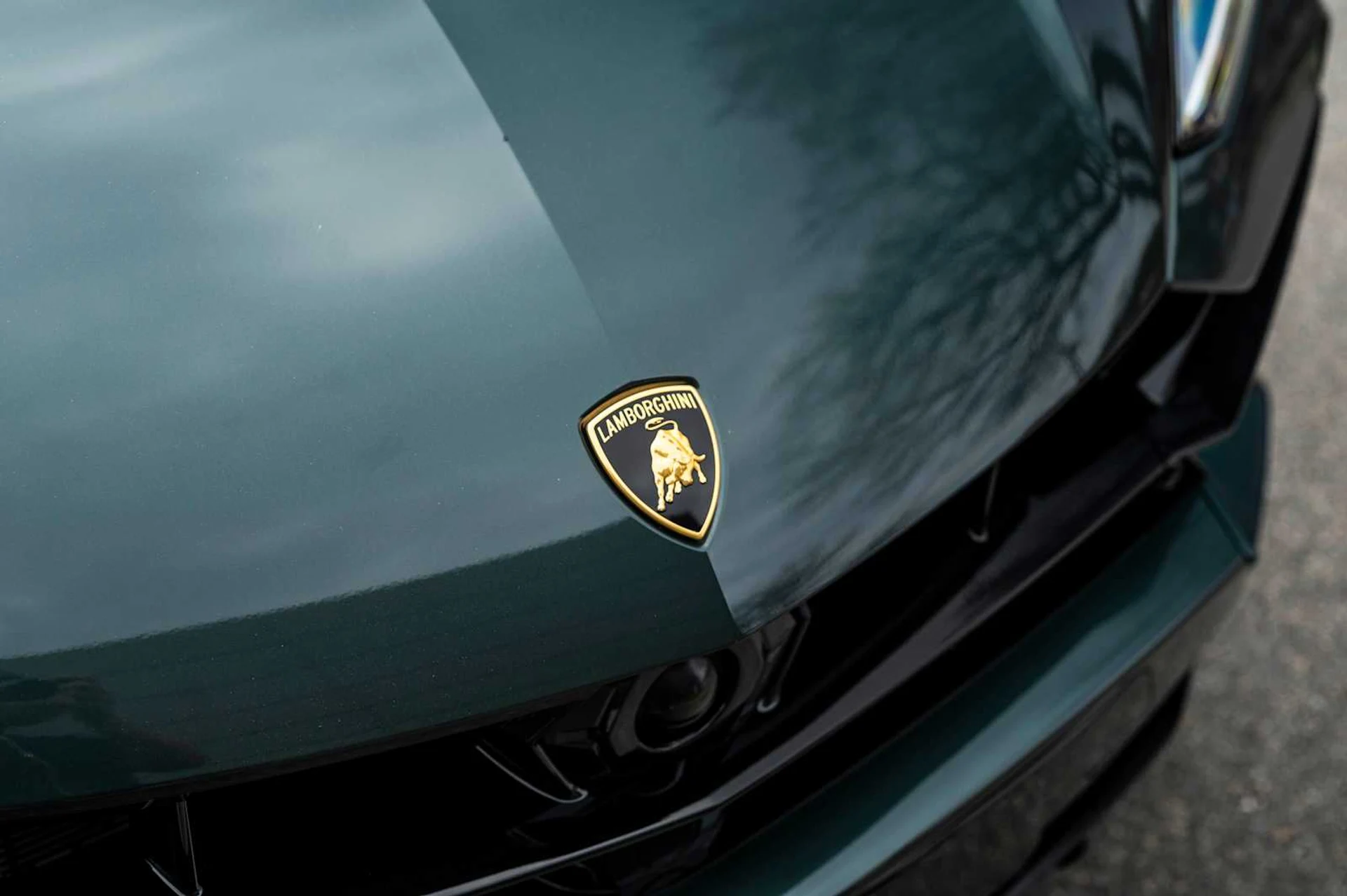 mph016_3794531954_64d37649c1e2c3775edace1c348e1abdx_1b2d5e3042