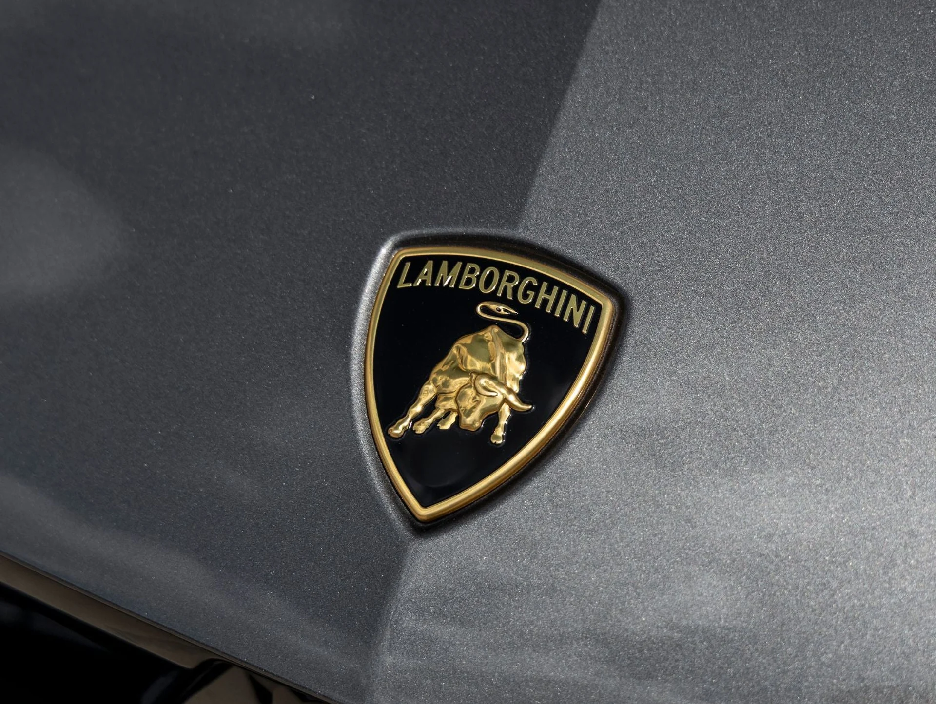 mph016_3808701810_17_eee82d234d