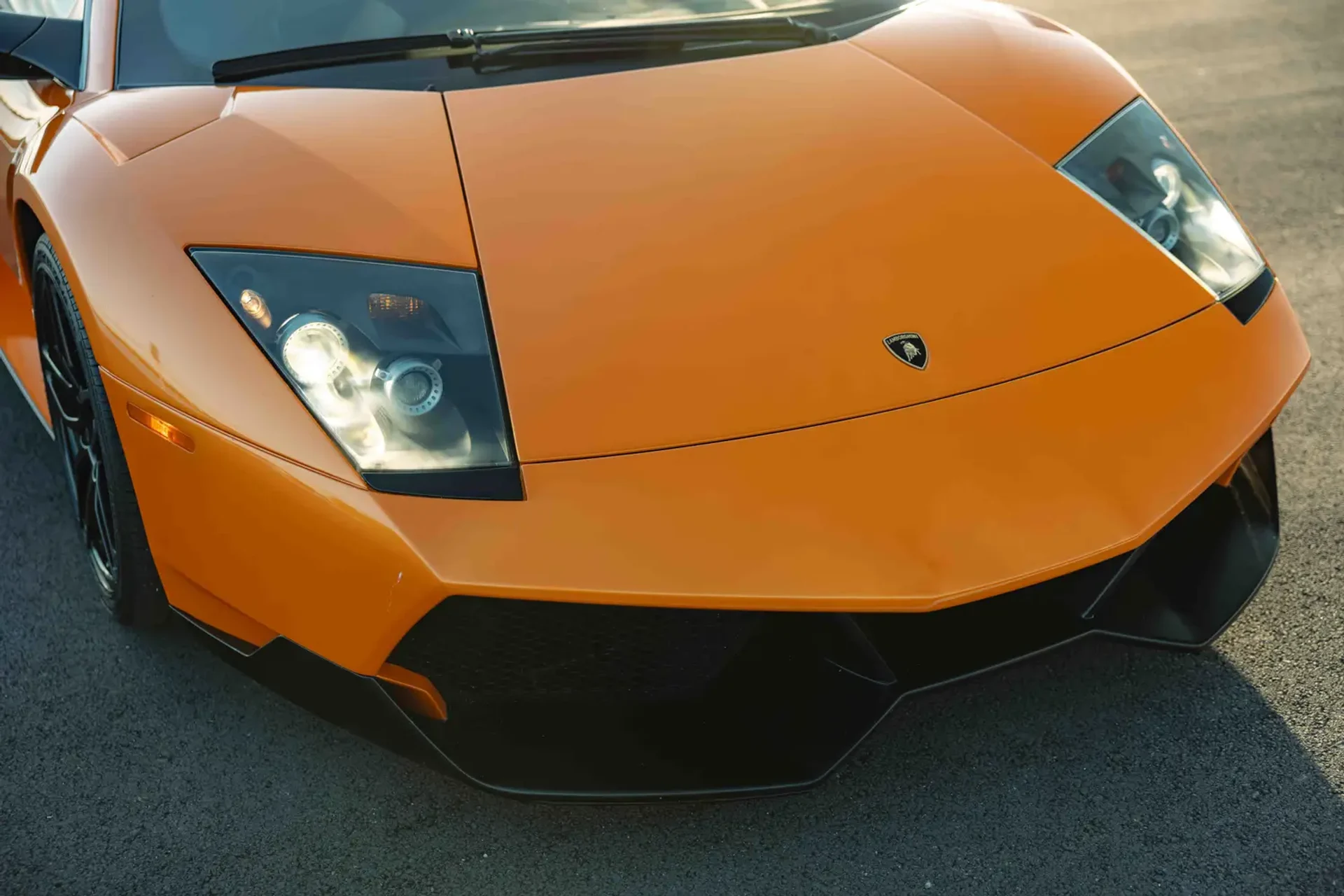 mph016_3828579920_69afa4c0be9d43d98cc74948_gallery_image_16_1773118648222_daebbcf32d