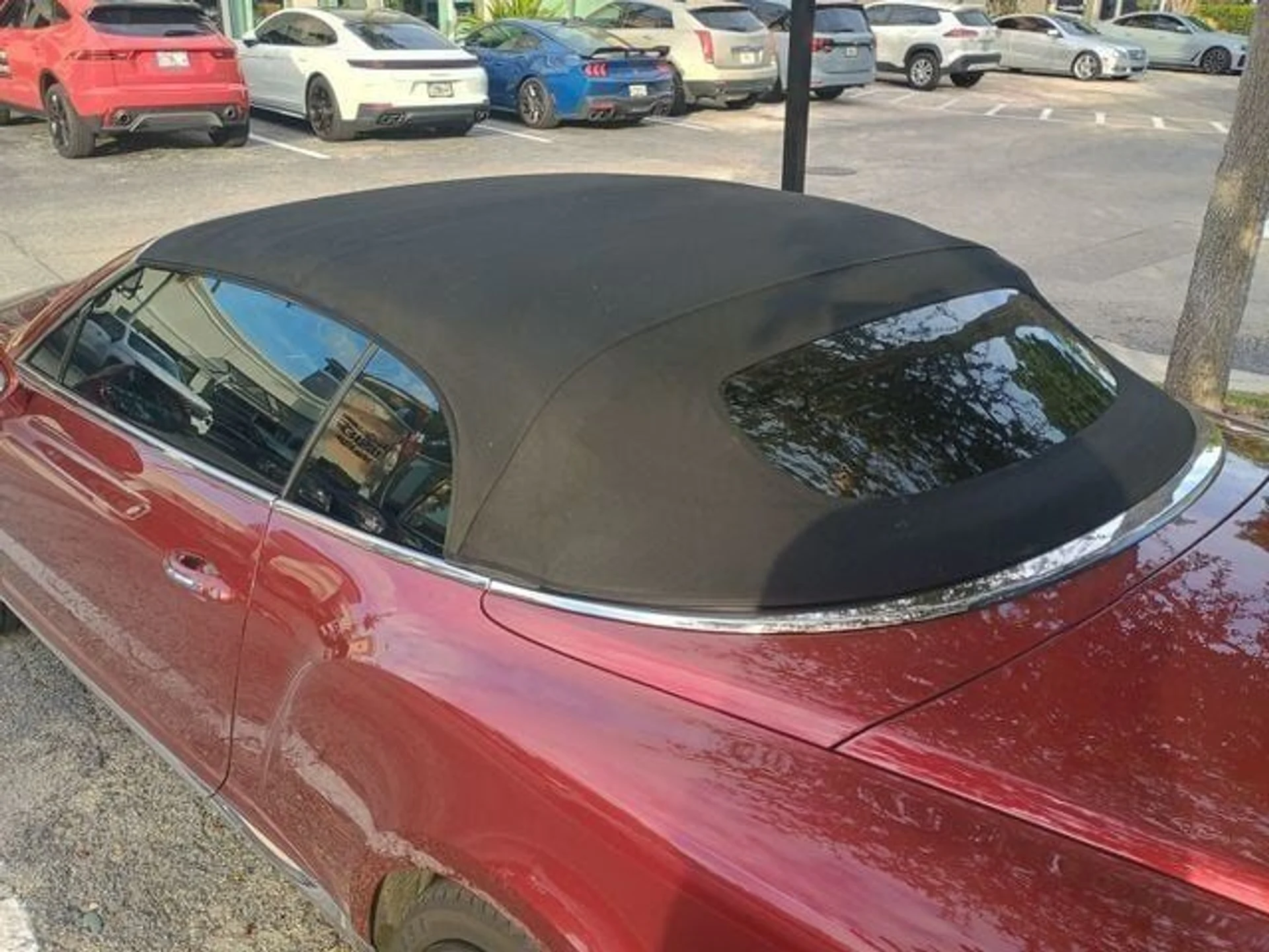 mph016_3905837525_567115f241_640_bb38878002