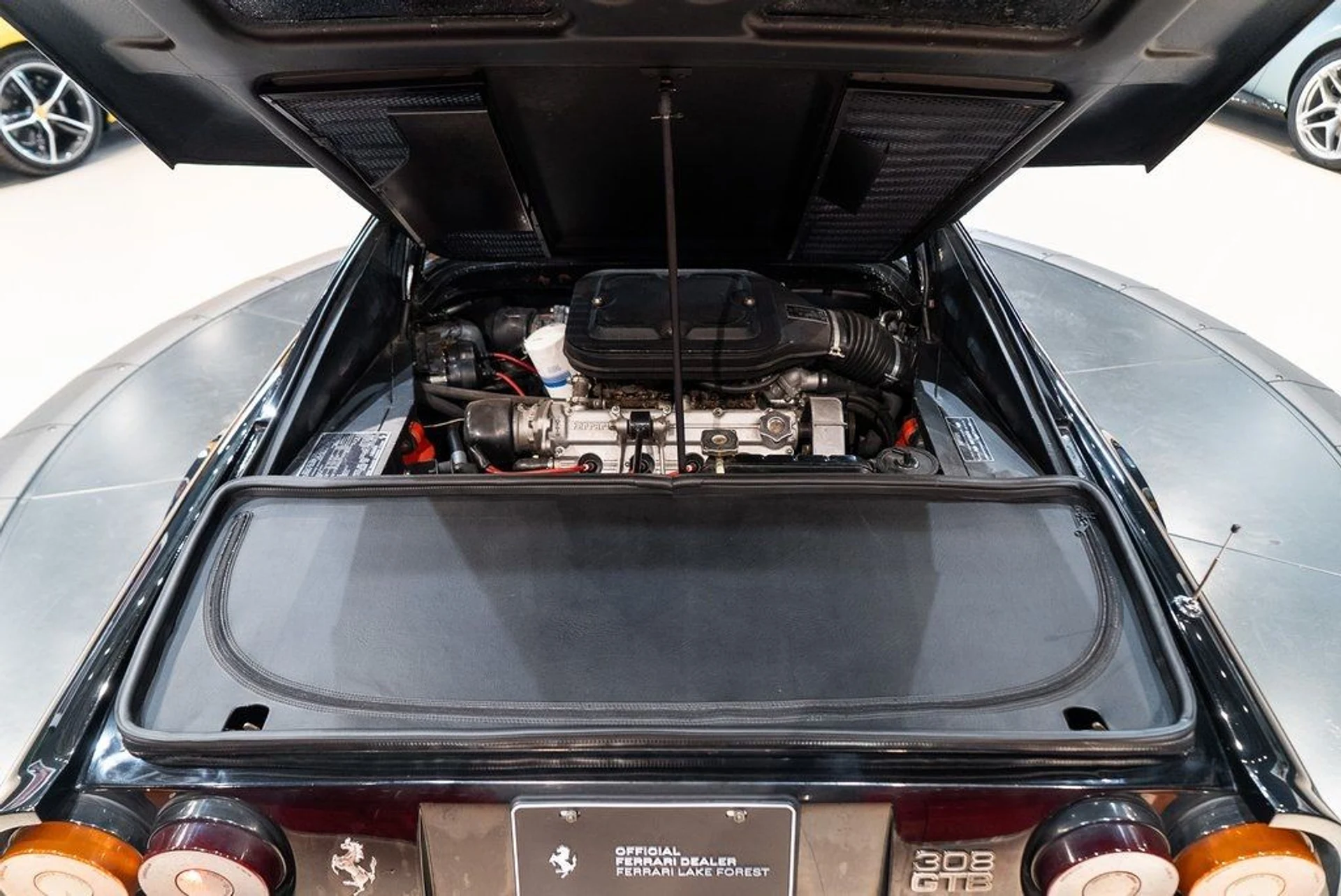 mph016_395890457_f12ccb5b34416020f415af6290955782_268ef046d6