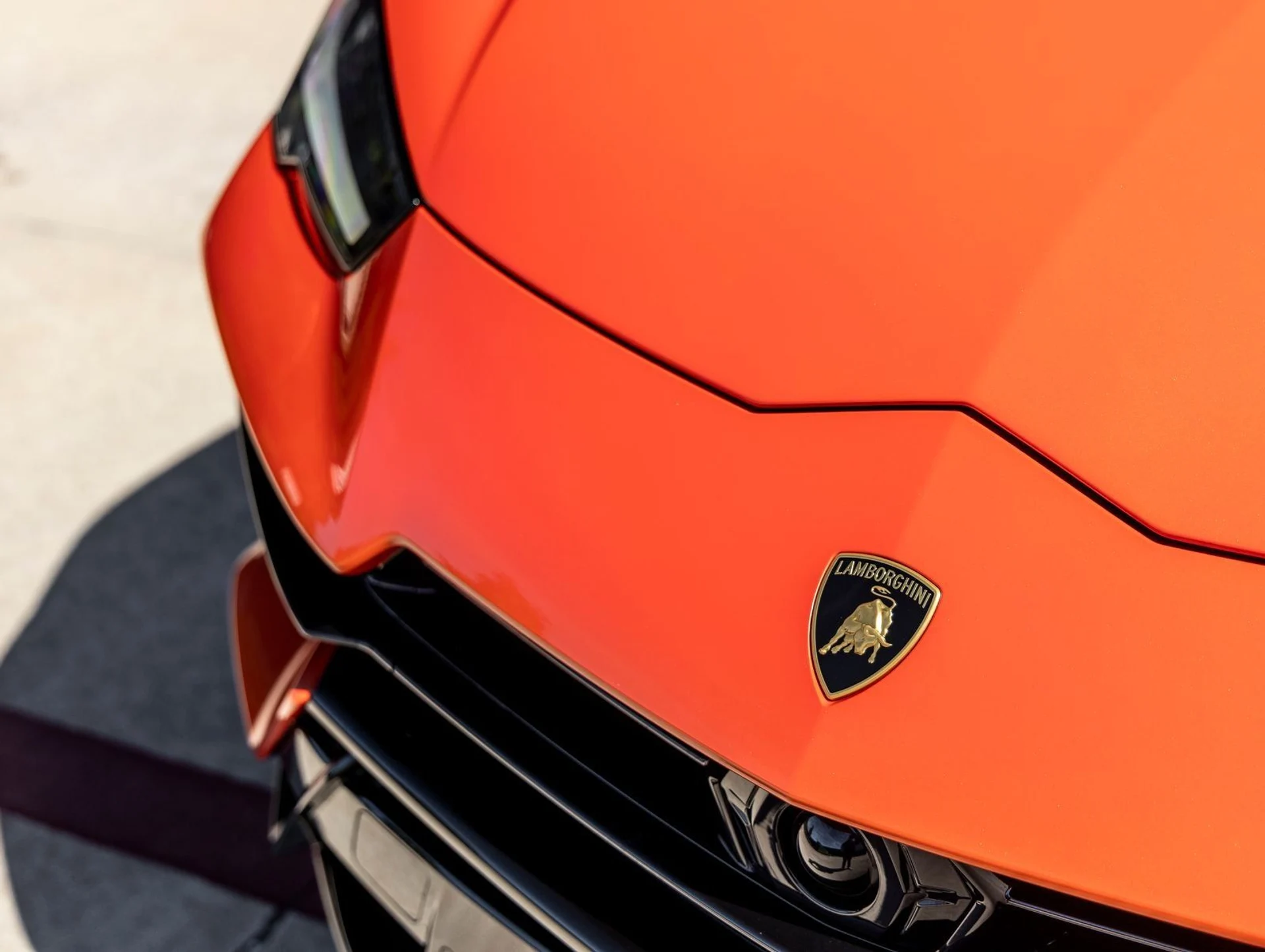 mph016_396955712_17_560e507fe0