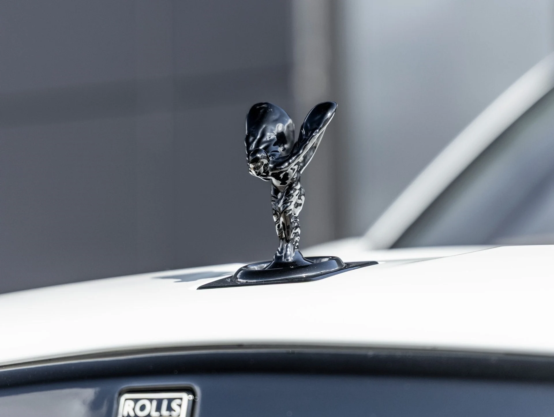 mph016_3969707180_17_2cebc76055