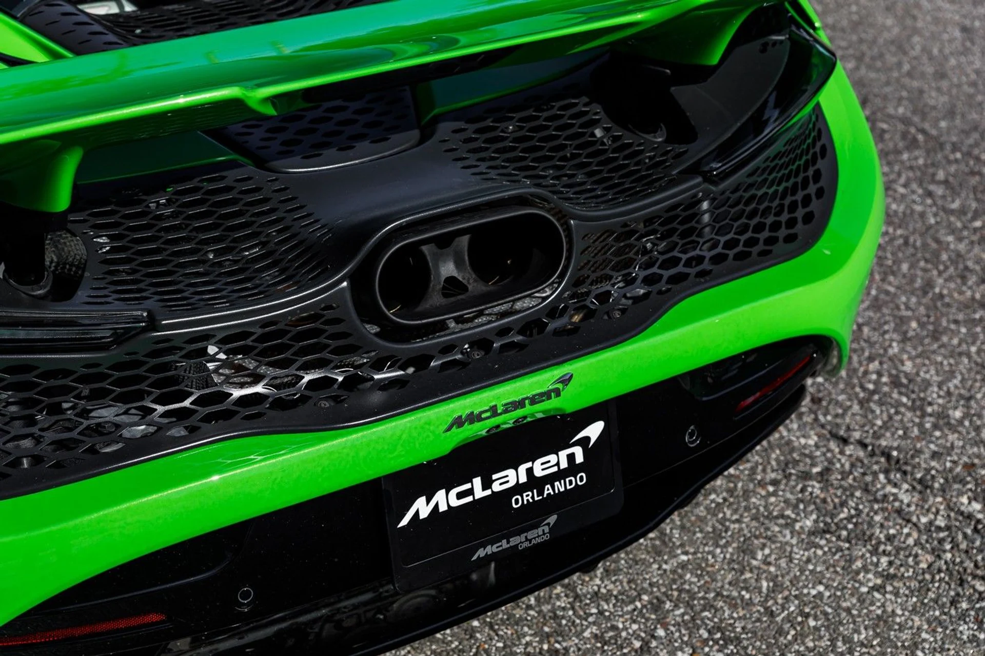 mph016_3973029875_668_p17_l_203944c685