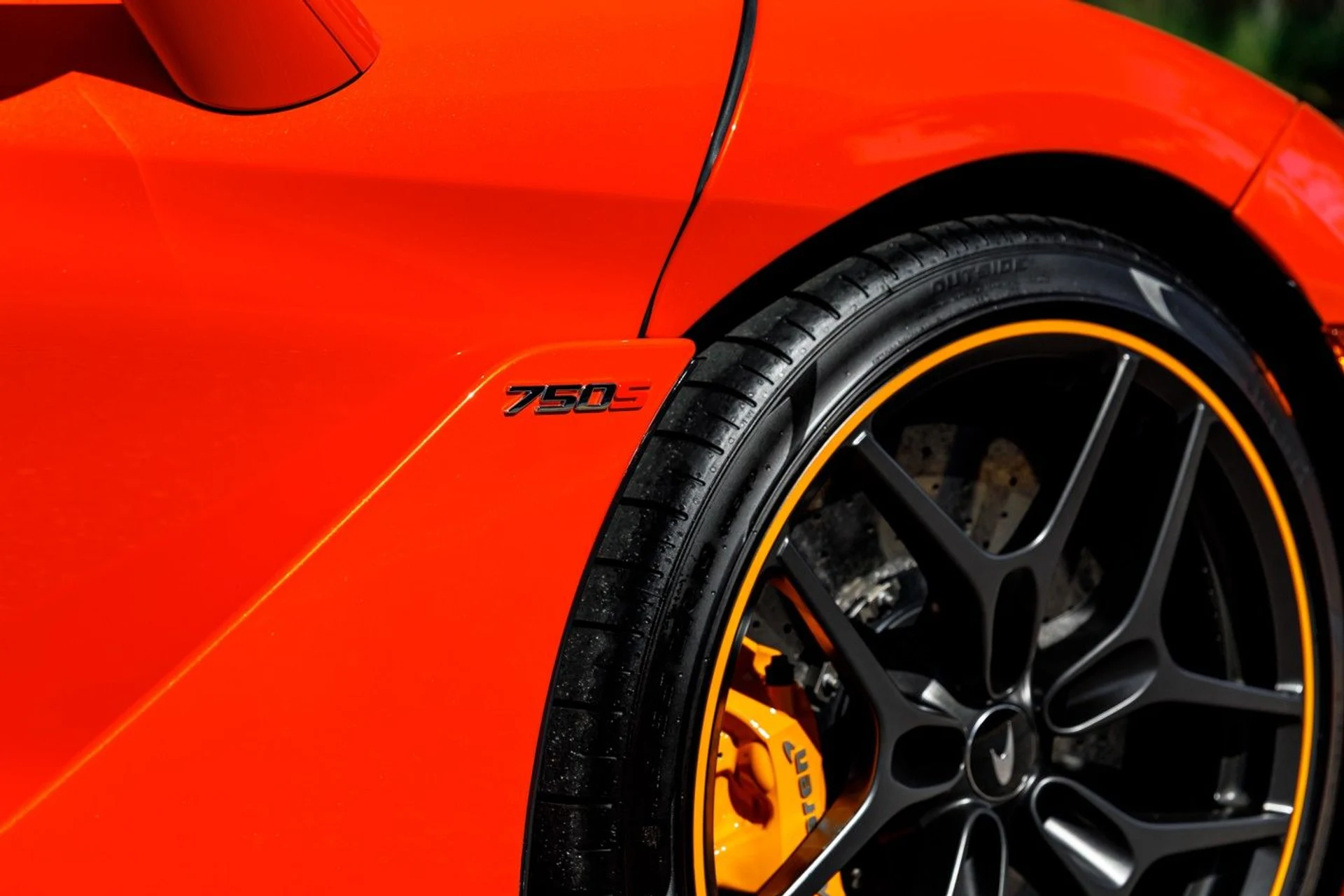 mph016_399854091_618_p17_l_e7319c62f0