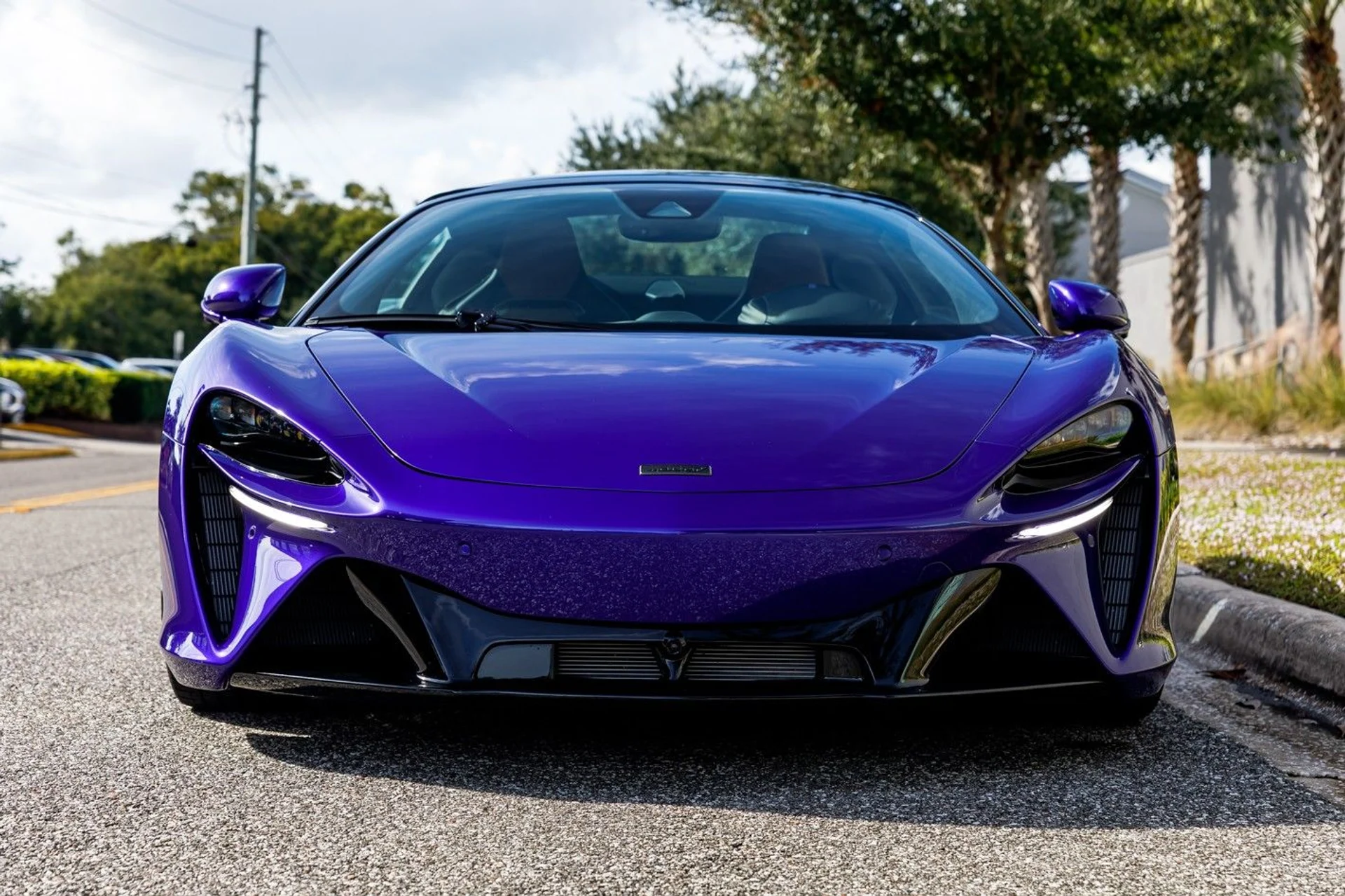 mph016_402655573_620_p17_l_554ce2704a