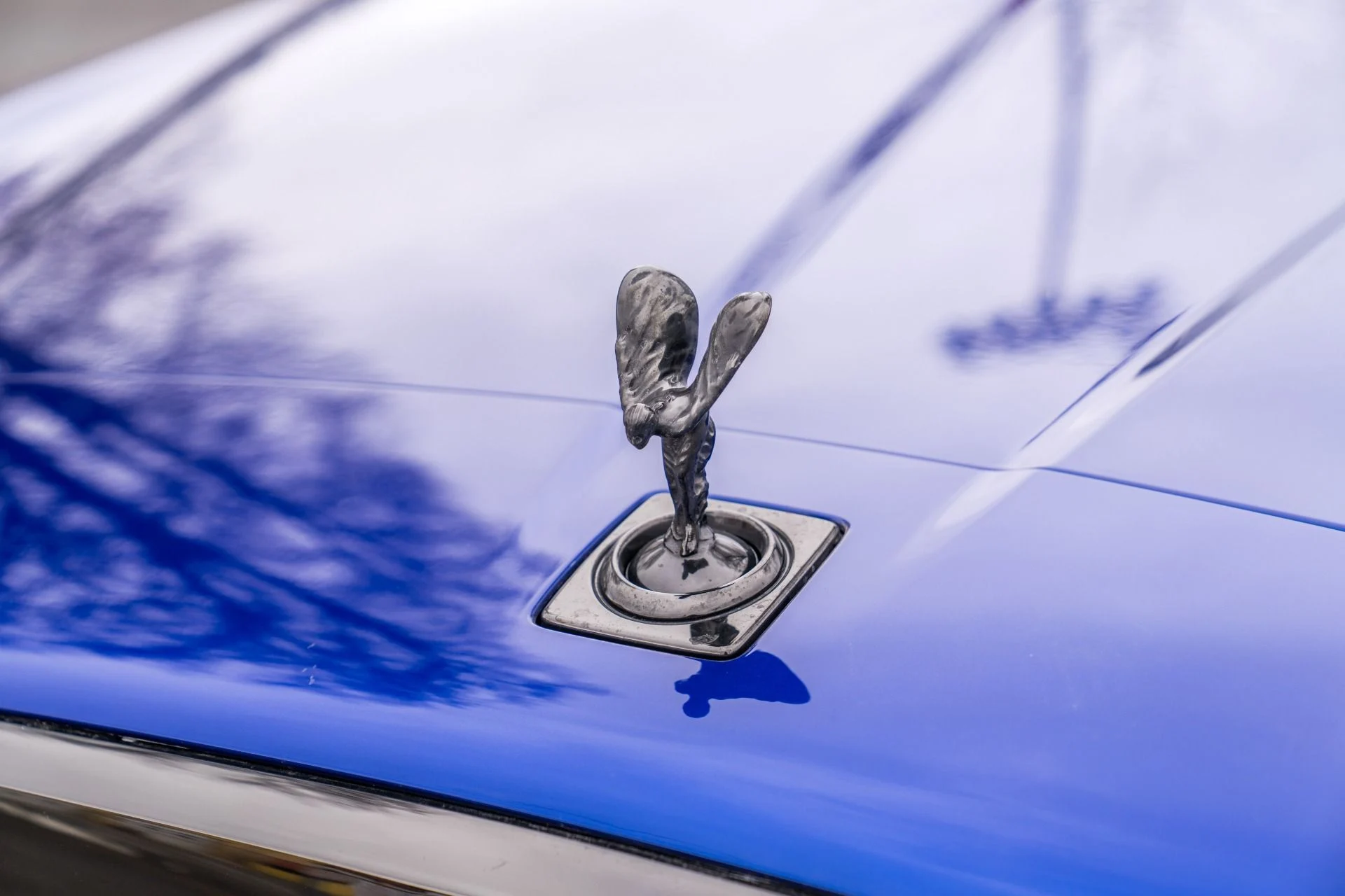 mph016_4147110594_Used_2023_Rolls_Royce_Black_Badge_Cullinan_1772494436_c64ef64ed6