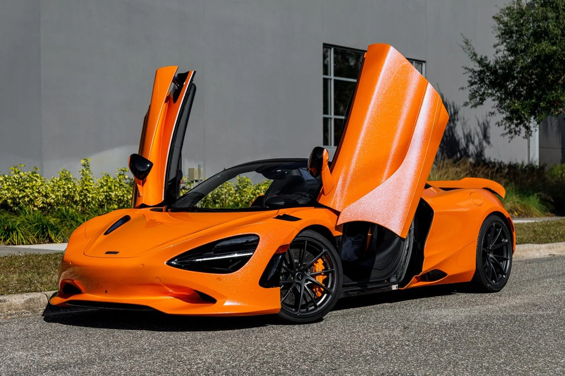 mph016_4190449167_515_p17_l_d8ef41d9f5