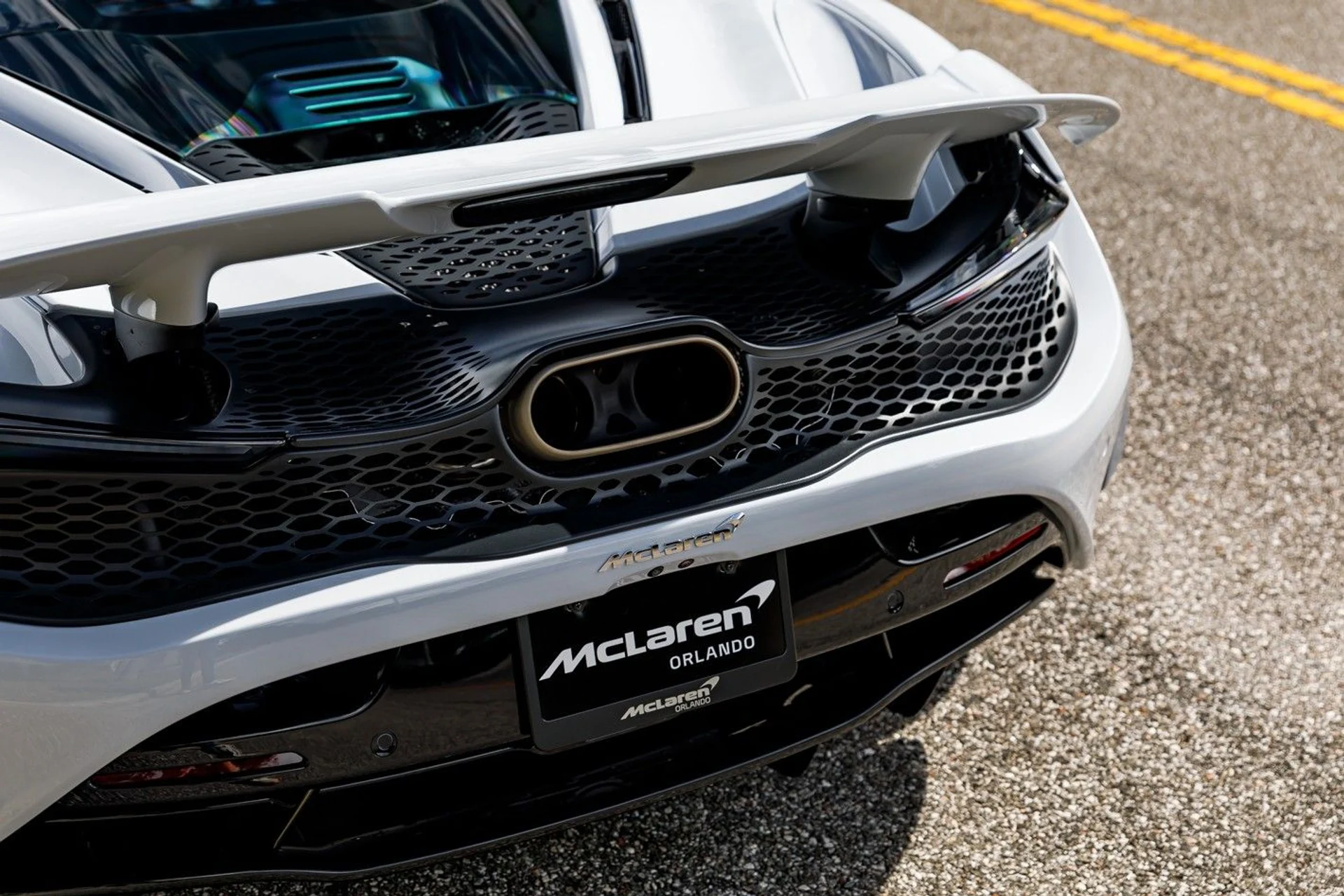 mph016_4200970384_616_p17_l_09e2d57bf5