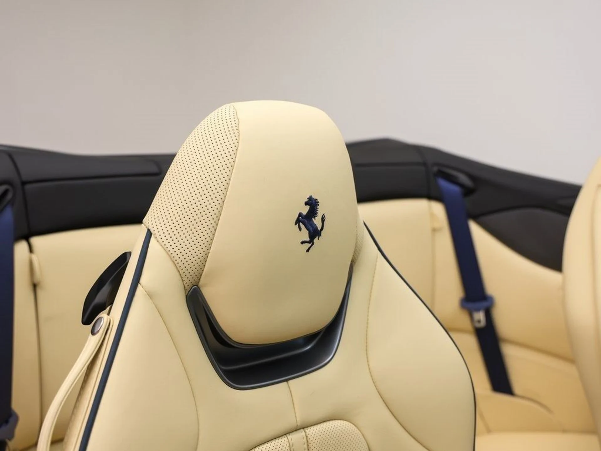 mph016_552176515_17_26df283bf7