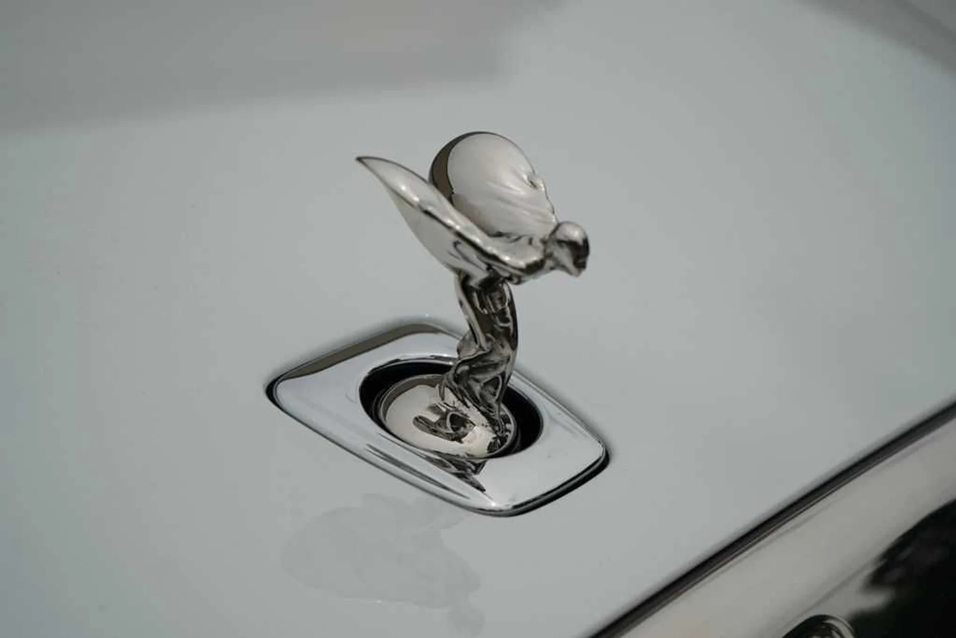 mph016_603293065_ylmbzq5n780ydkukw2b6tnyejxl6_5ce117bc4d