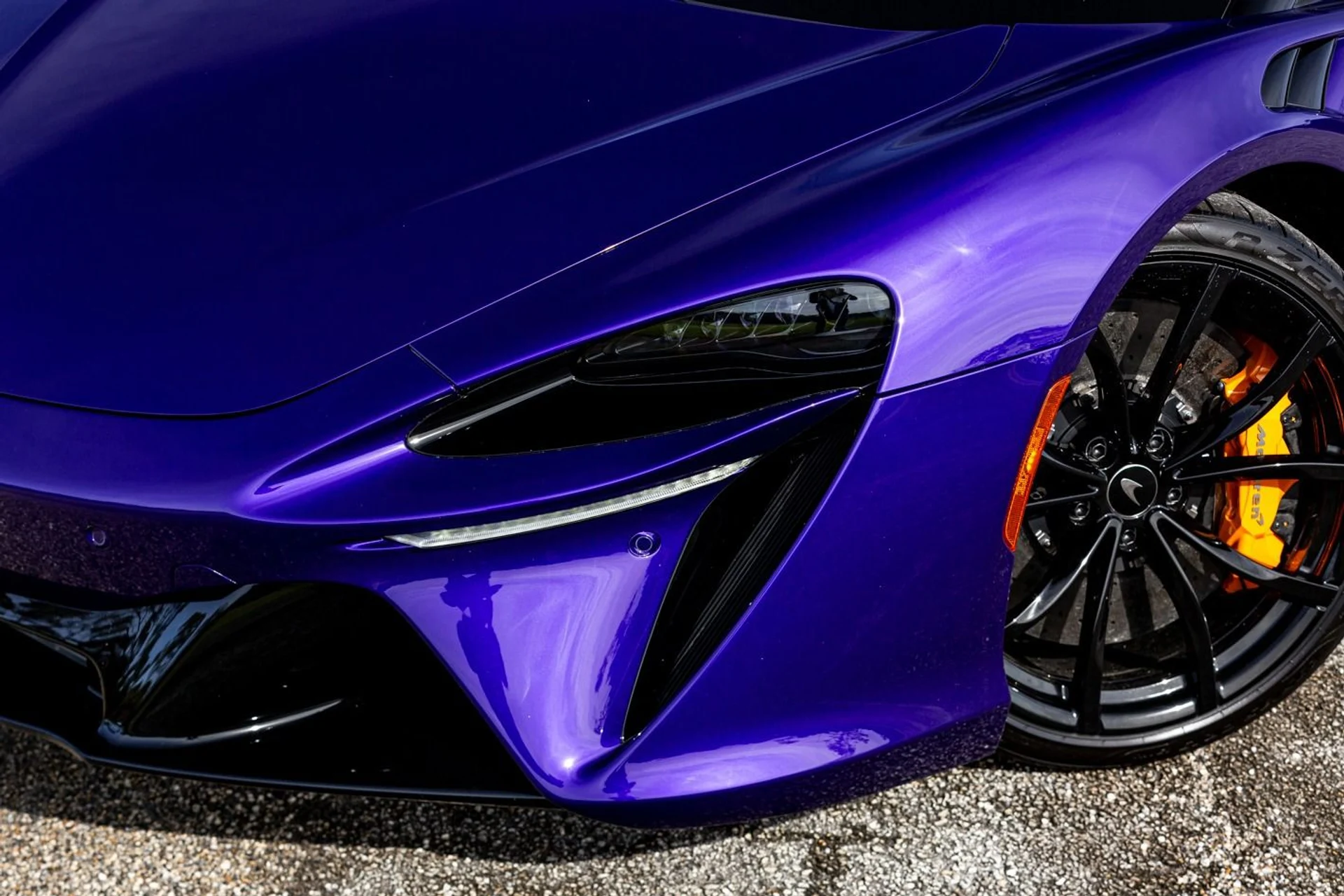 mph016_631117670_362_p17_l_d9f3a6a684