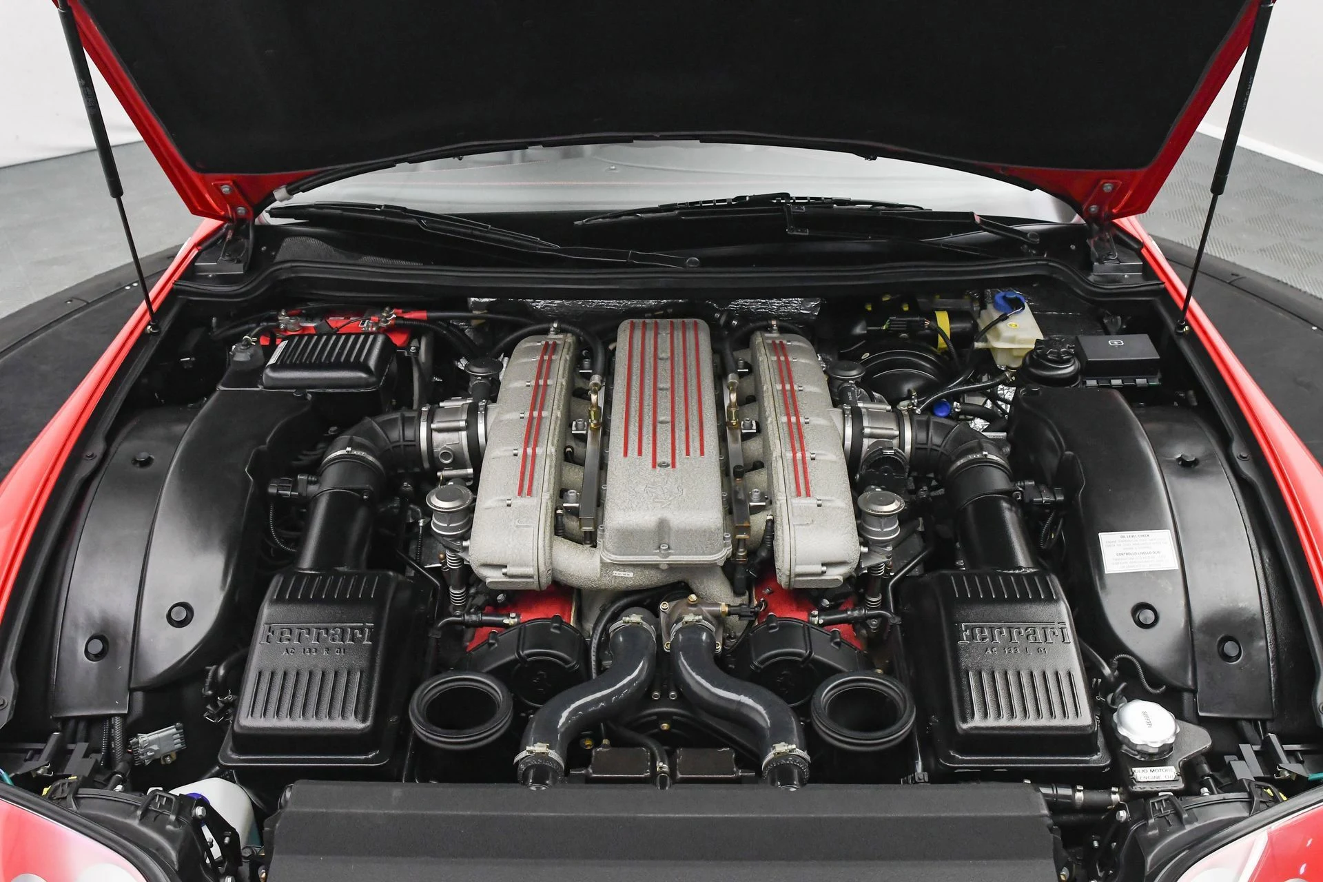 mph016_684557081_e7d869d9e8274969863f16bc7942afcf_152171a75f