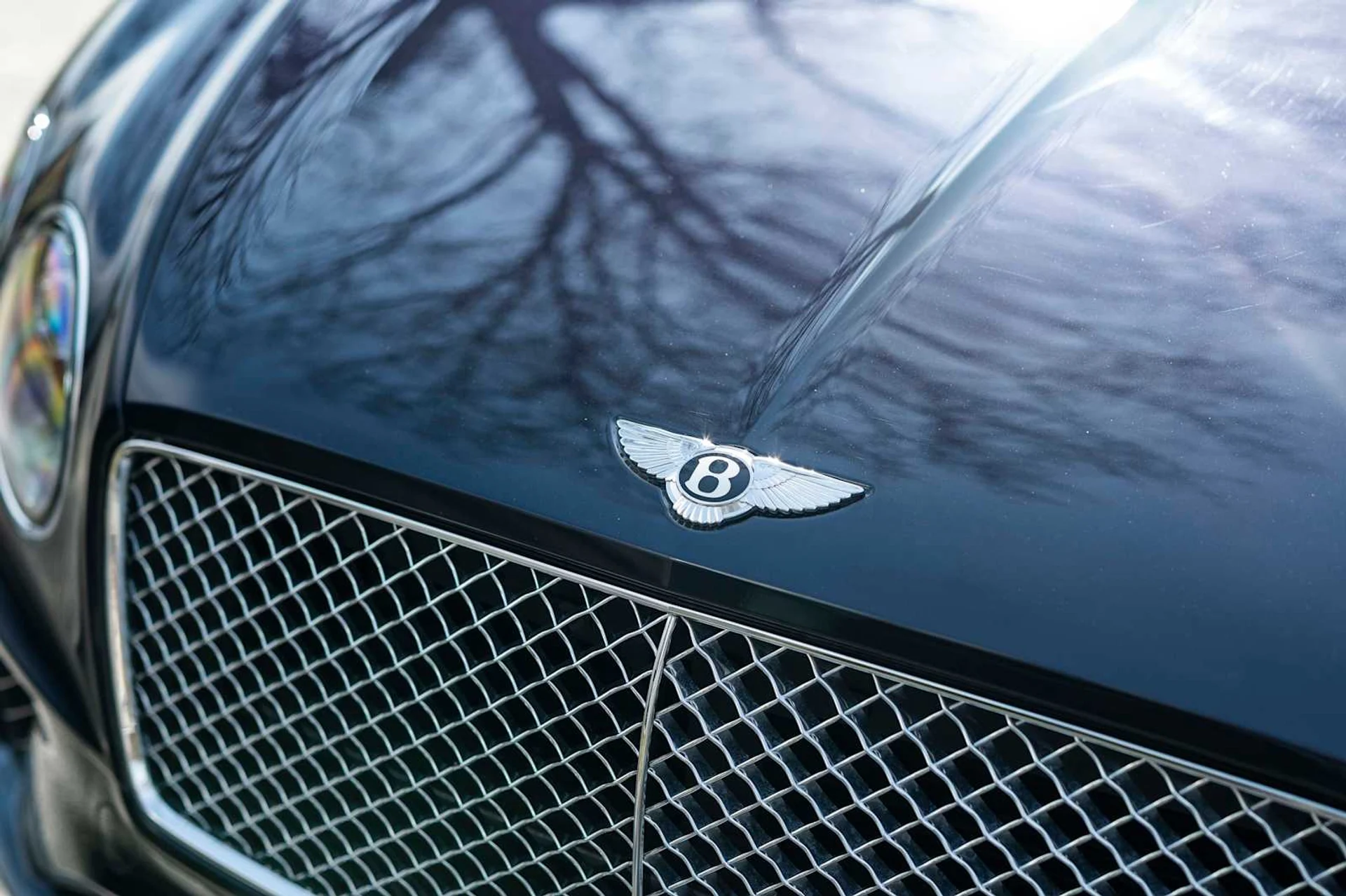 mph016_880259391_e2f9b2634226f829818622e2fb975d15x_130f45962e