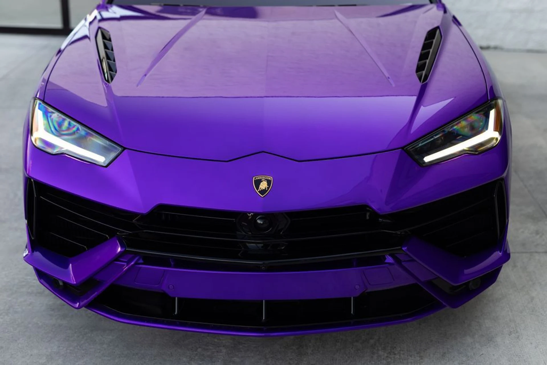 mph016_918441675_24682787a76d037b6fd6c50d39894325x_ed4164470e