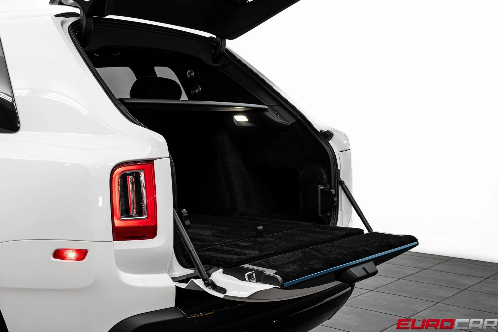 mph017_1066799973_image_18_8f49a71cad