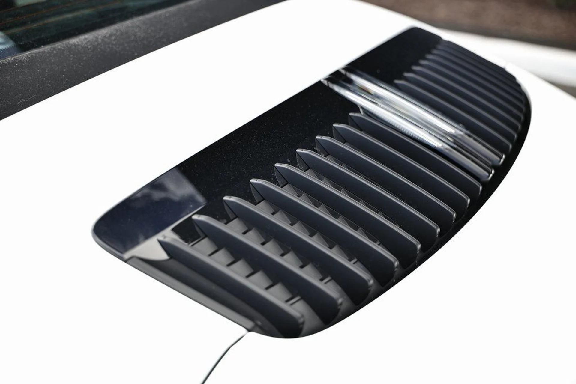 mph017_1127901230_d039e34fcbe5af195e9ddad4eae619a9_f21d68aaa5