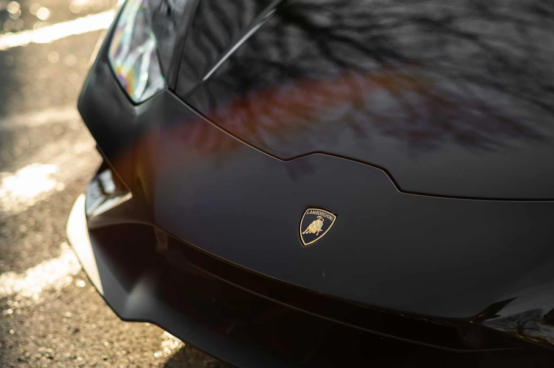 mph017_1217464951_e72482ac1b65efce8326c6a2d4f7daefx_2961097b27