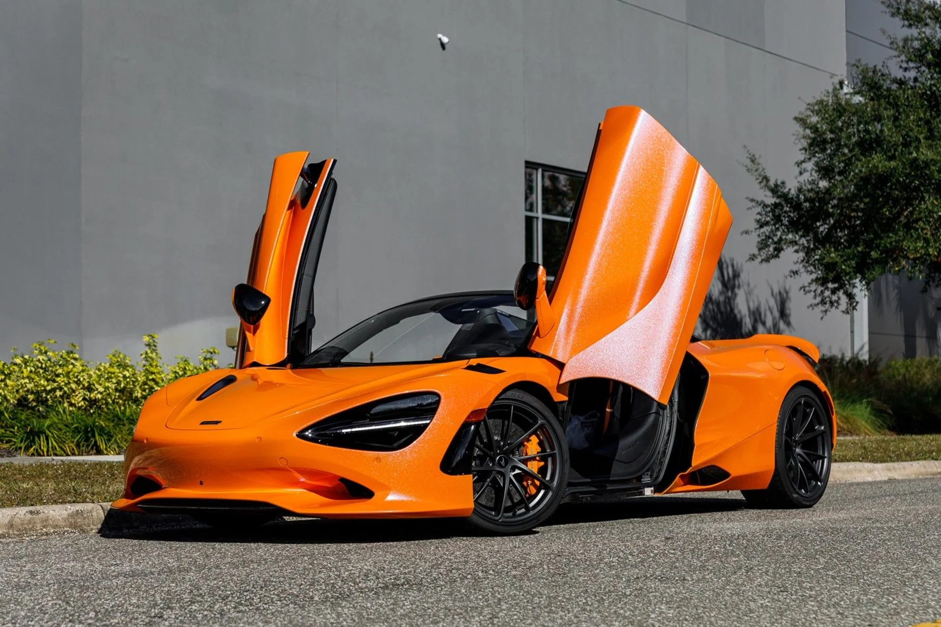 mph017_1227715778_515_p18_l_c54b33aa2e