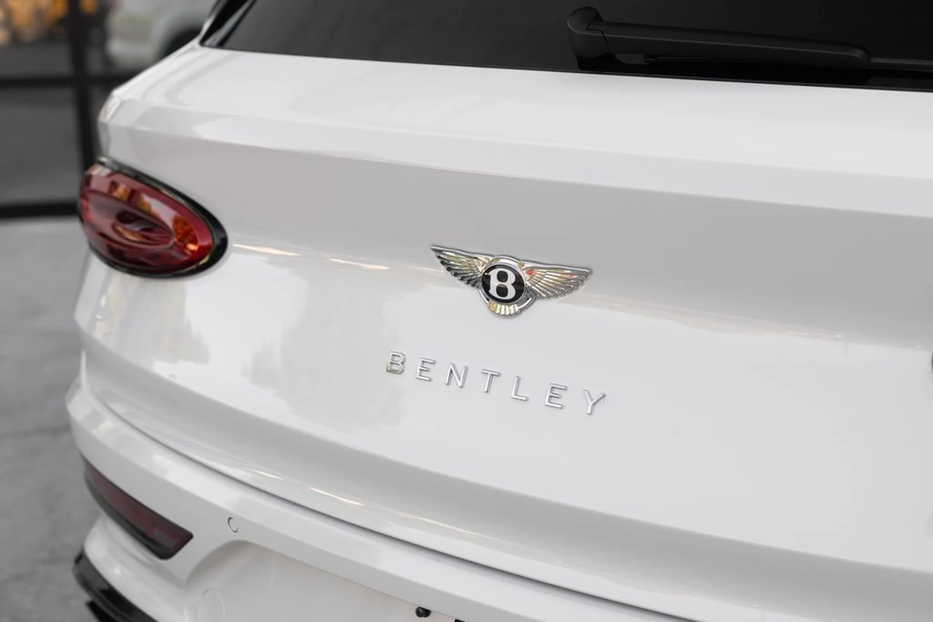 mph017_1237233364_a5ec098e48b191284ee0ea01b2e0e0aax_e5cce50f25