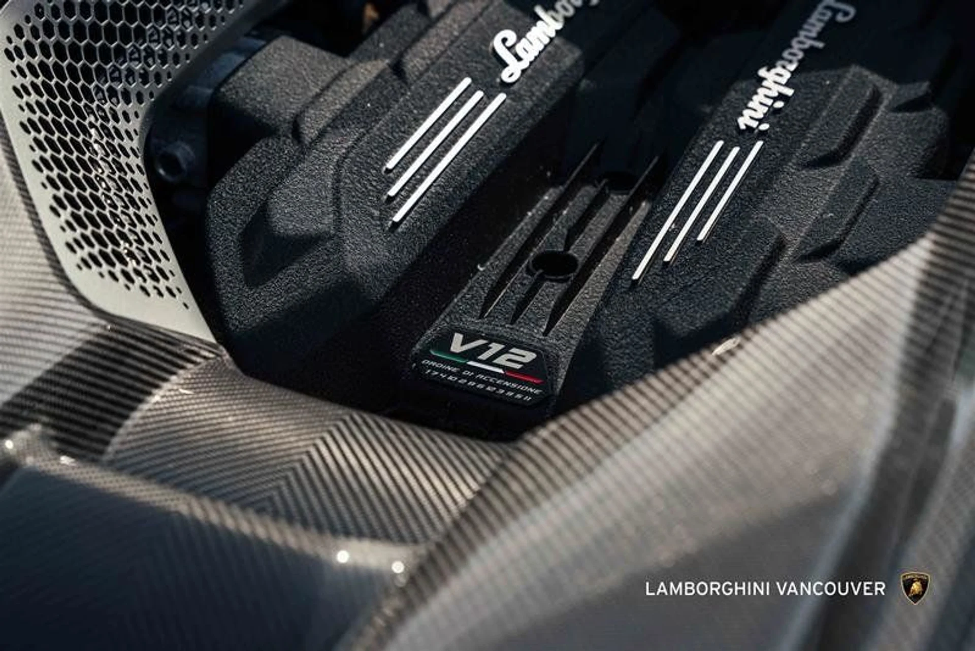 mph017_1280489179_35839335_07088_m52kwe2m_1fb1cb678b