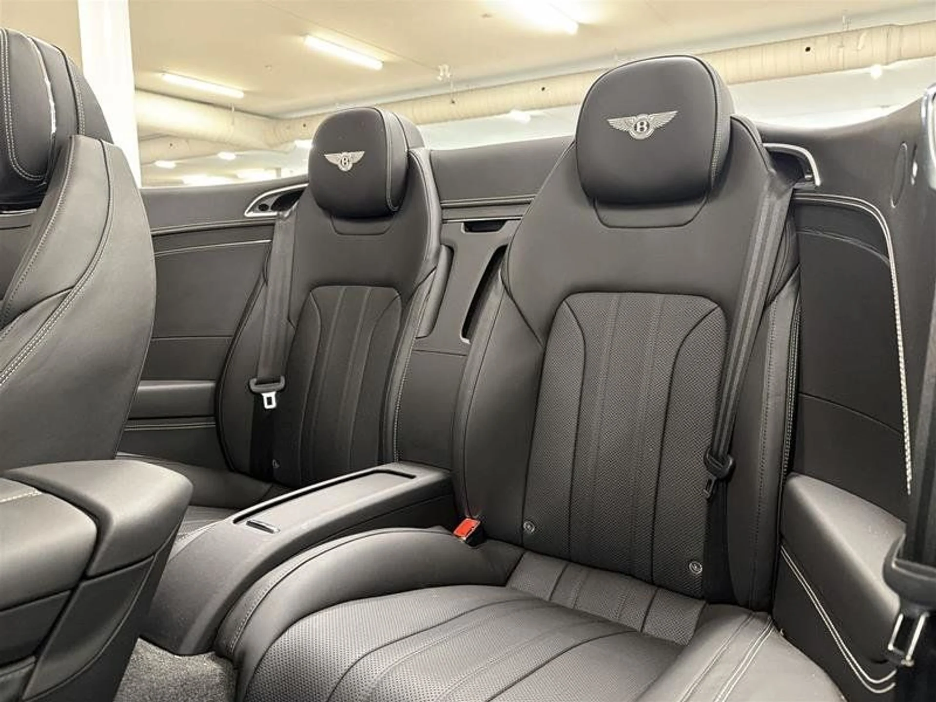 mph017_1281145903_38301087_09772_moggbglg_e8747bedcf