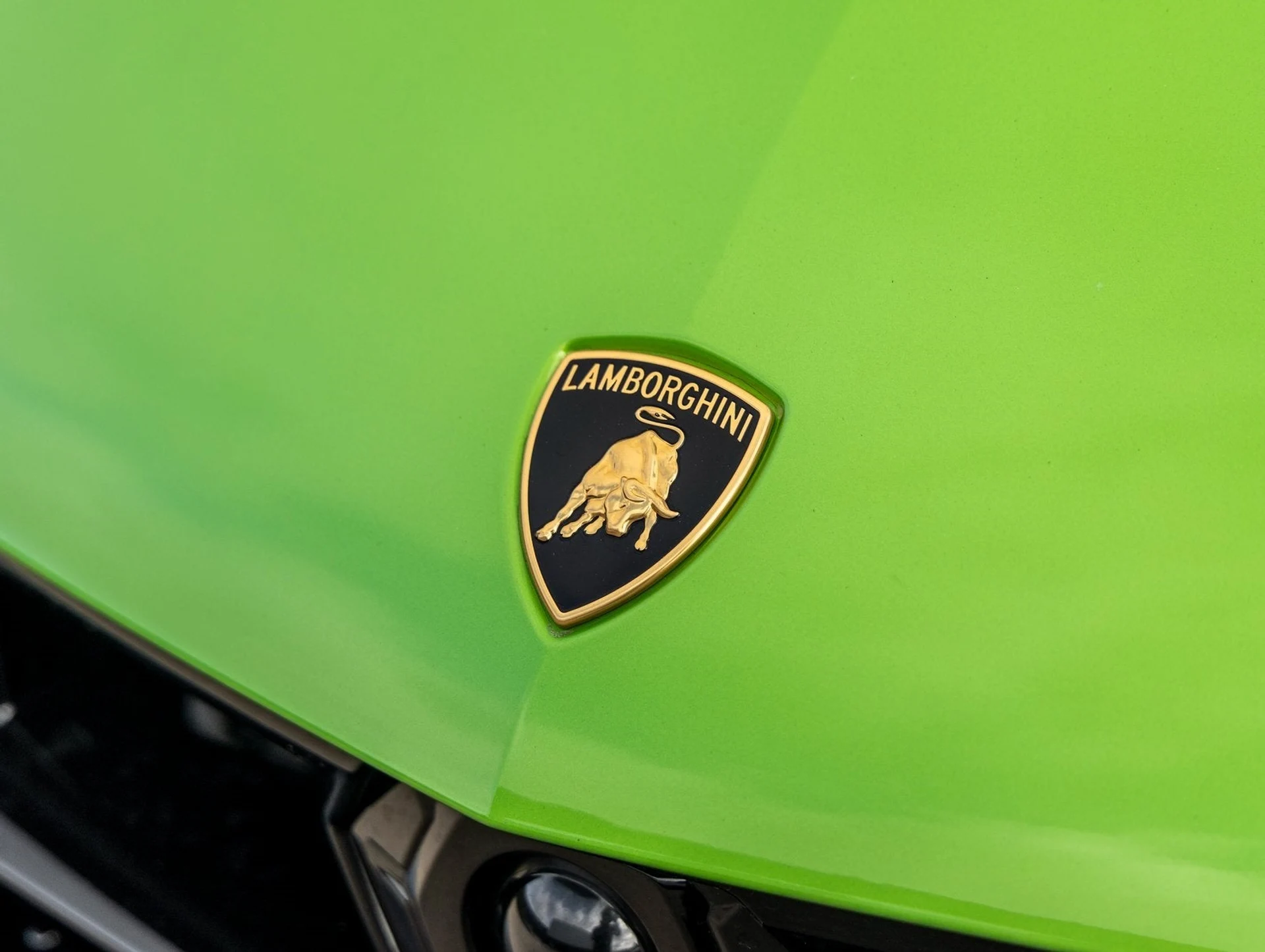 mph017_1456864152_18_34719f5165